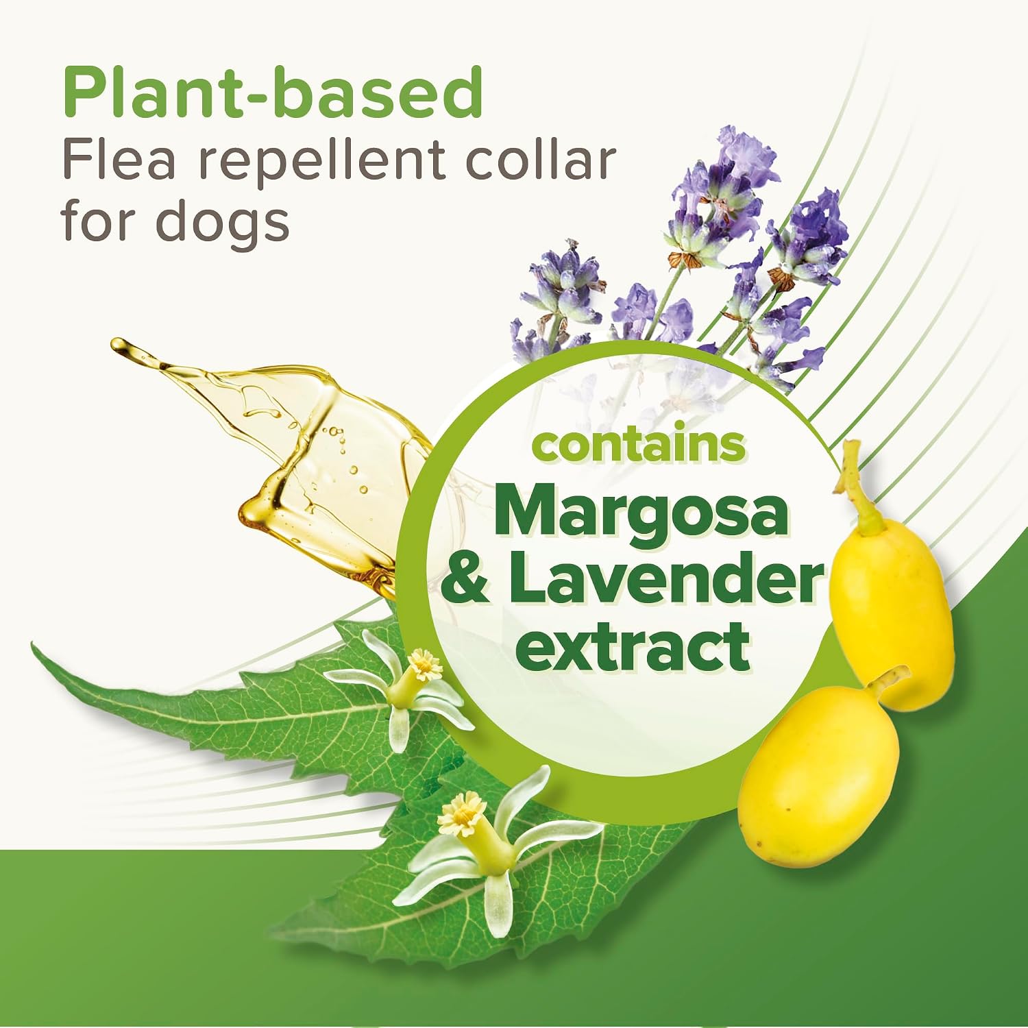 Detalle de Beaphar VETOpure Dog Flea Repellent Collar – 65cm, Plant-Based Protection for 12 Weeks