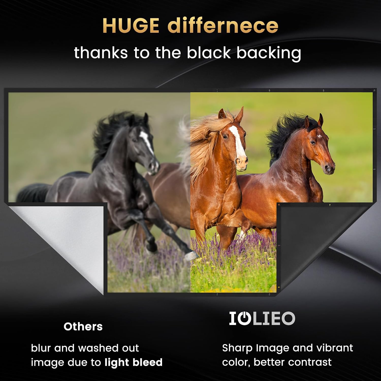 Detalle de IOLIEO Projector Screen 120-inch