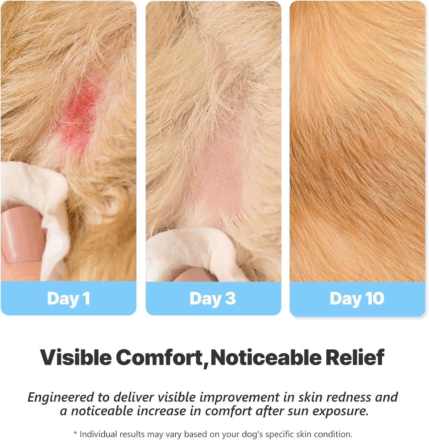 Detalle 2 de GJYC PET After-Sun Beruhigungsserum für Hunde – Feuchtigkeitsspendendes Hautpflege-Serum nach Sonnenex position