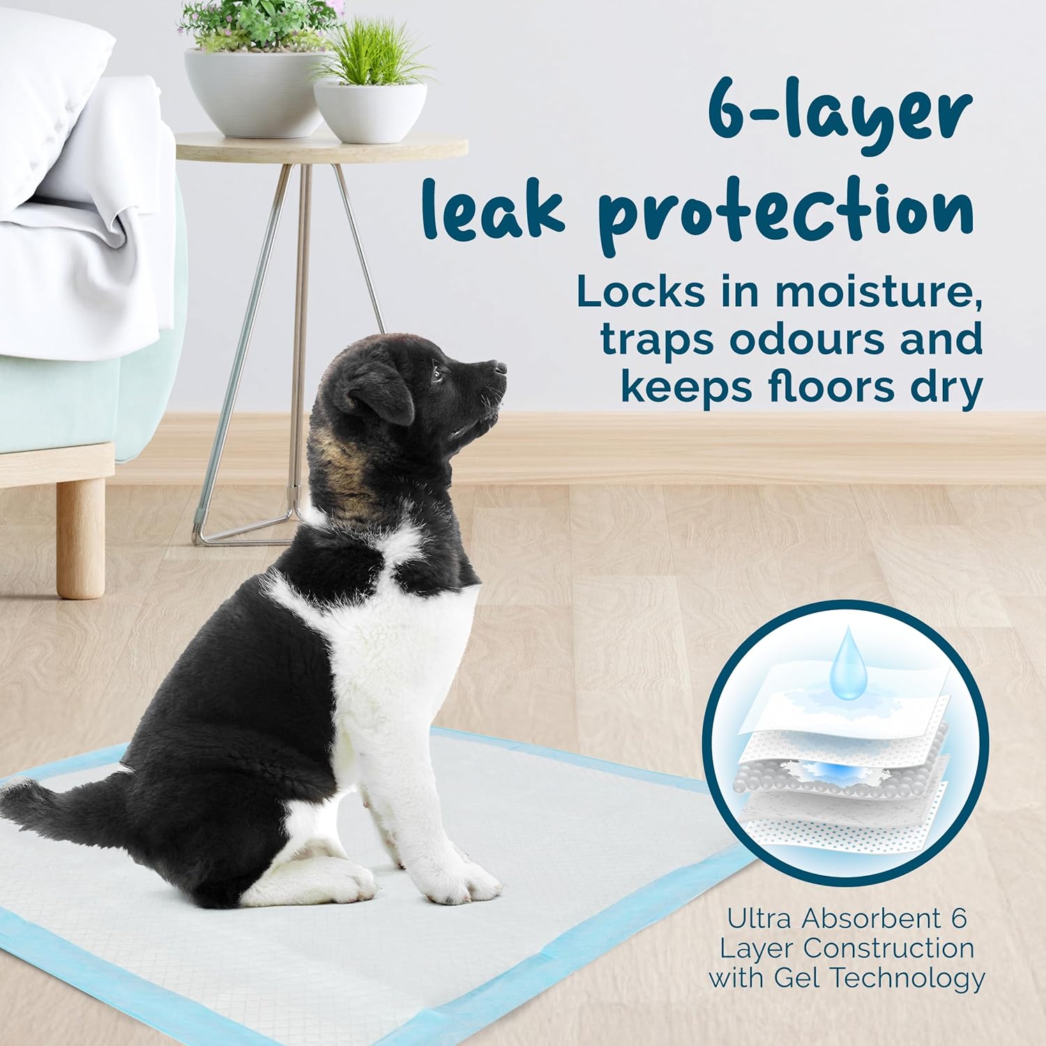 Thumbnail 1 de Petsentials Leakproof, Quick Dry disposable training pads (105-pack) for dogs & puppies