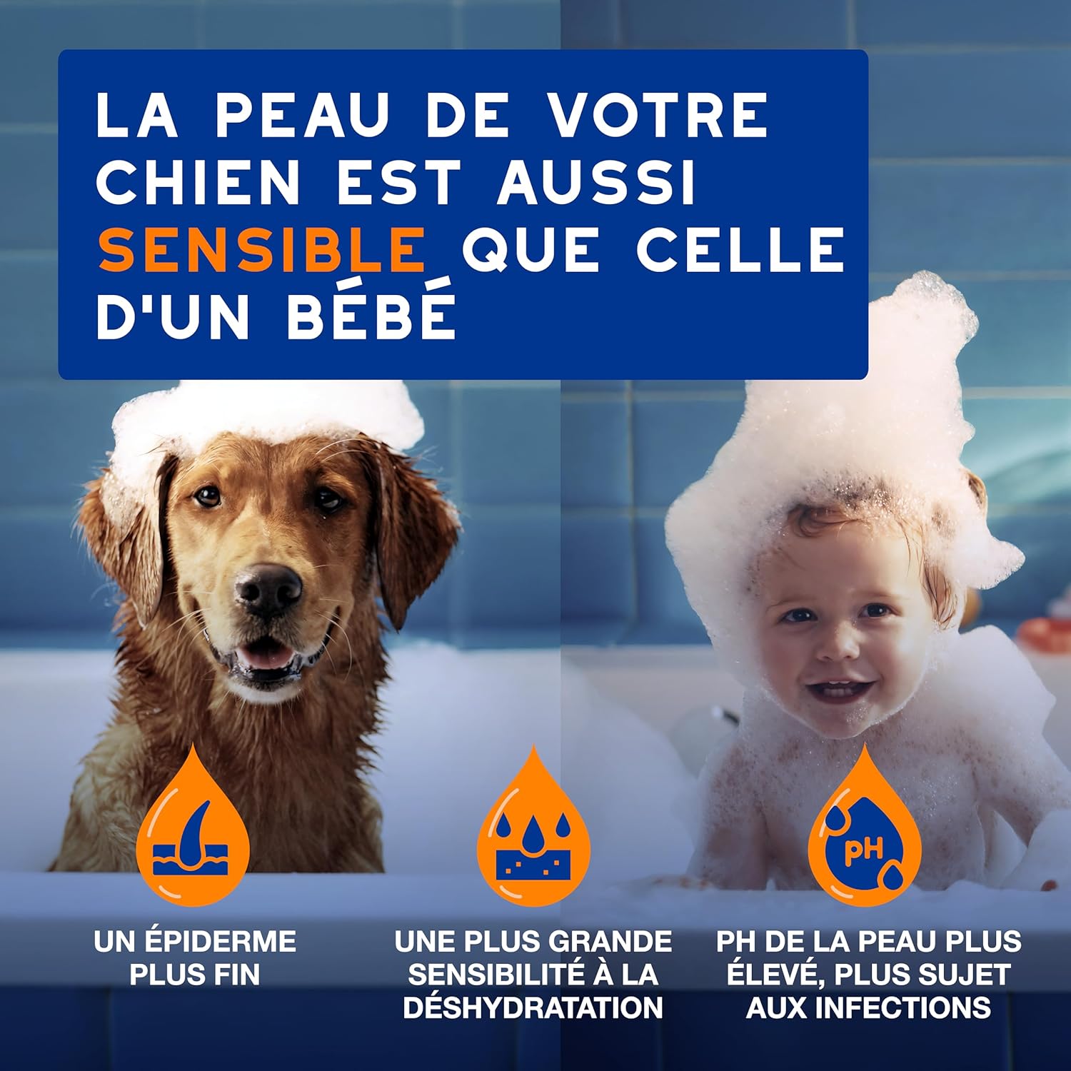 Detalle de DOUXO Skin & Coat Spa – Shampoing 2 en 1 démêlant pour chiens, 250 ML, nettoie et hydrate en profondeur peau et pelage