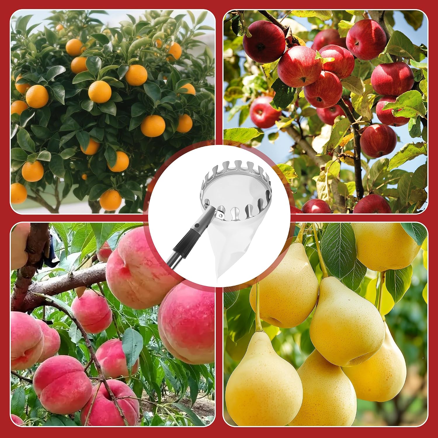 Thumbnail 6 de LIAILA ILQ-caizhaigan telescopische fruitplukker tot 4 m met roestvrijstalen steel