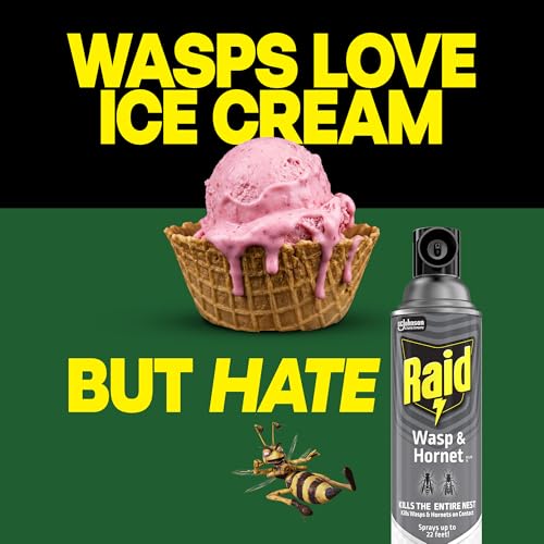 Detalle de Raid Wasp & Hornet Killer Spray — 2-Pack, 14 oz Each (Kills Entire Nest)