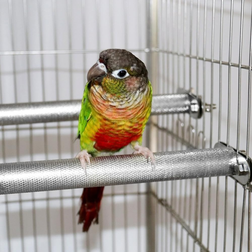 Thumbnail 6 de Bird Stainless Steel Perch for Parrots and Budgies: Durable Nail and Beak Grooming Stand