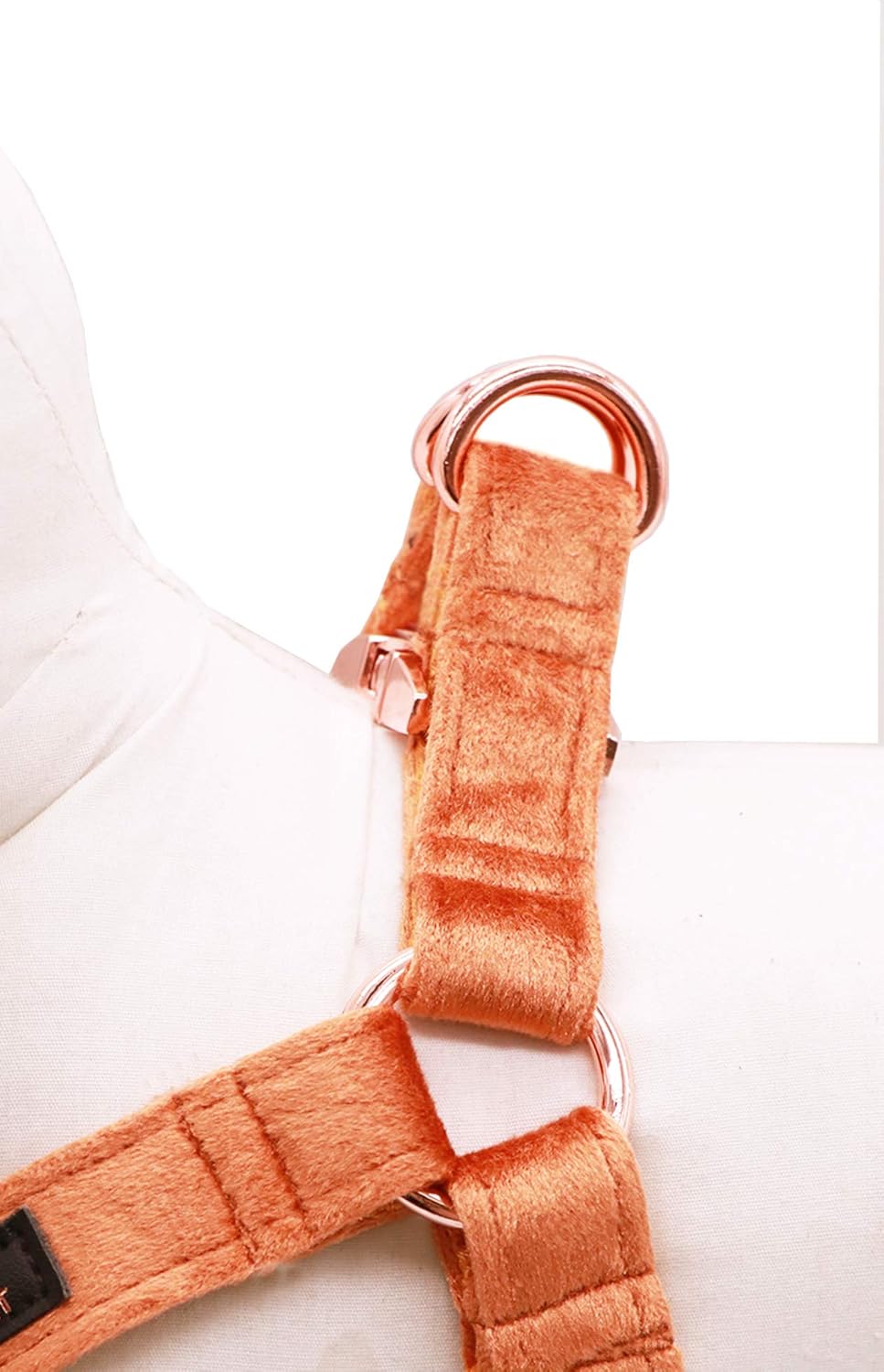 Thumbnail 3 de A RING PET Deep Yellow Velvet Dog Harness (X-Small) with Adjustable Metal Buckle