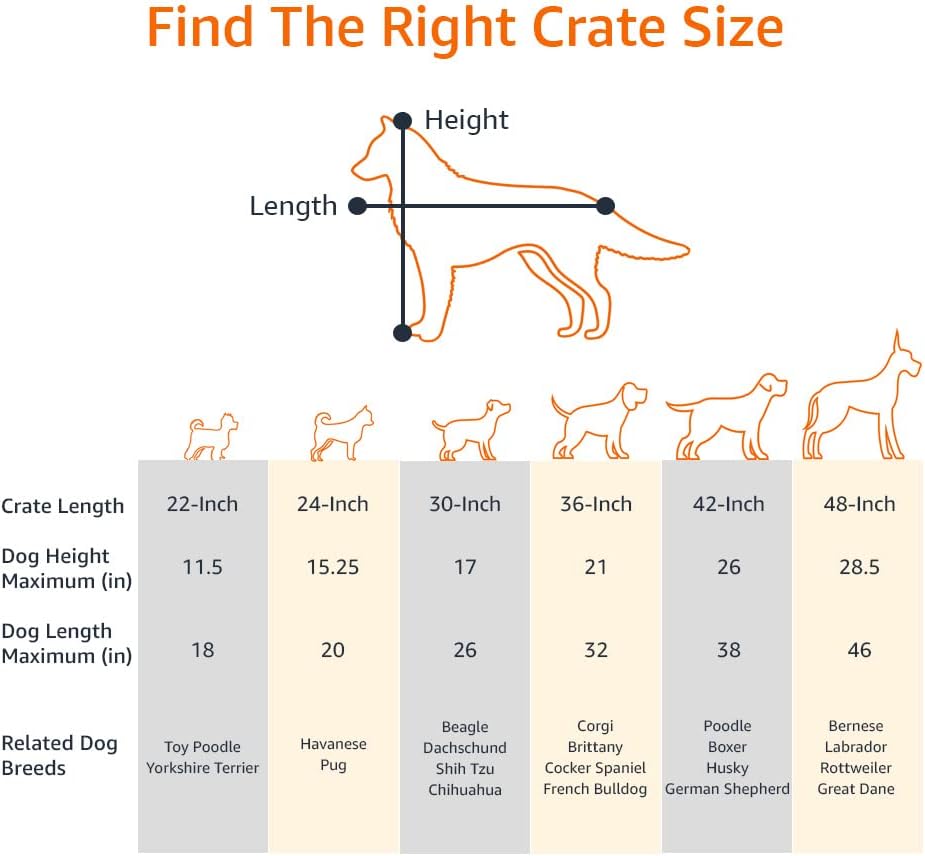 Thumbnail 2 de Amazon Basics Jaula para Perro Plegable 61x46x51 cm