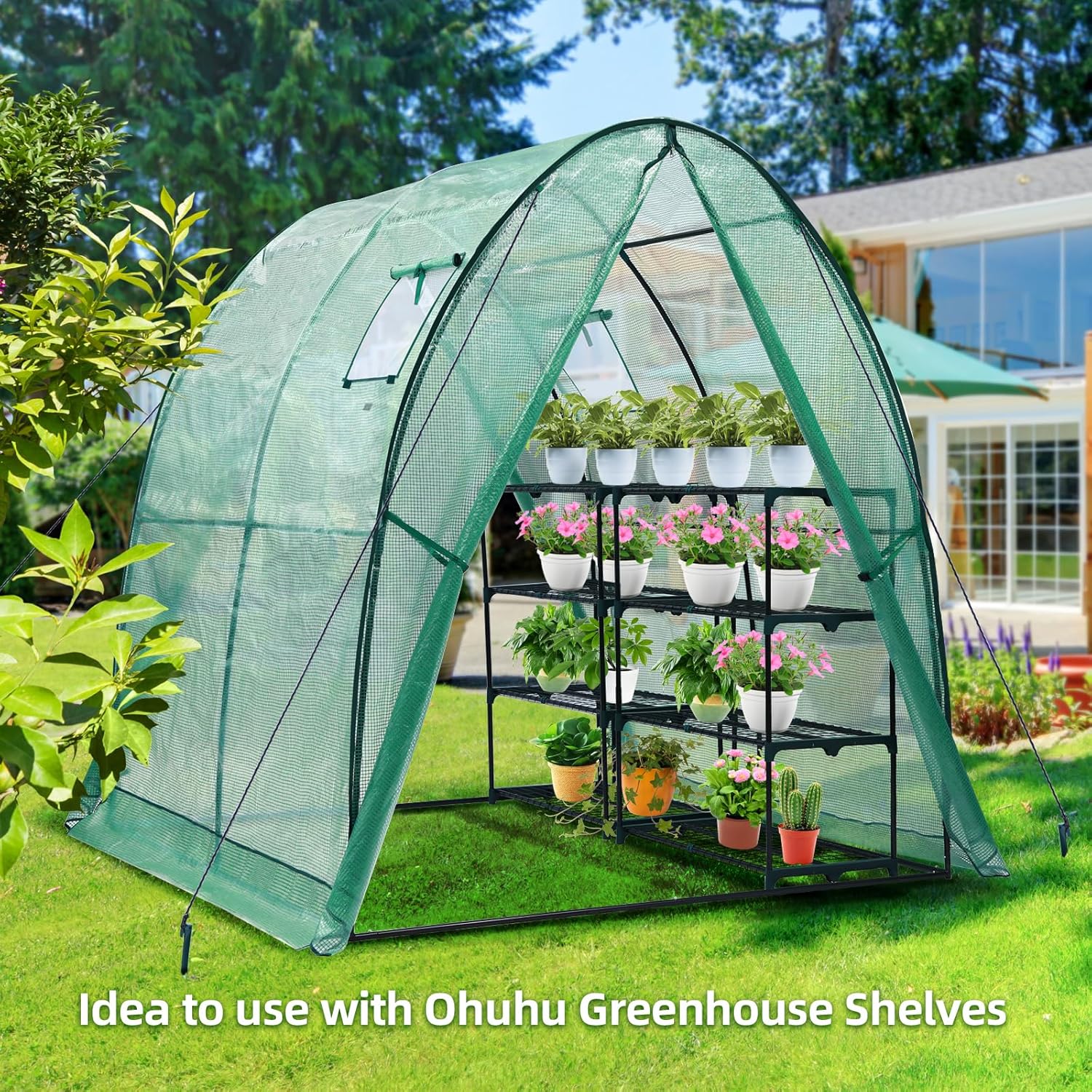 Detalle 2 de Ohuhu polytunnel greenhouse 180x180x200 cm