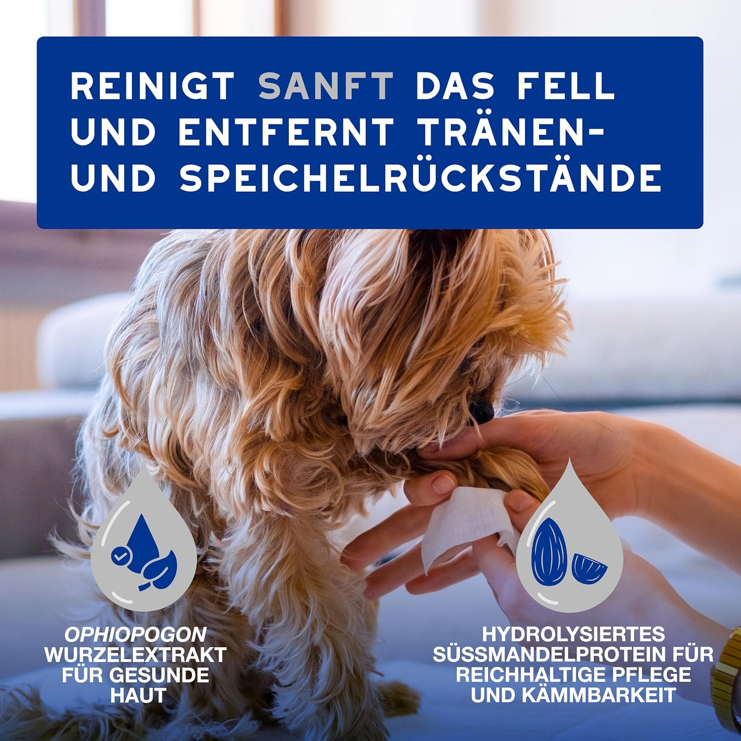 Detalle 2 de DOUXO Skin & Coat SPA – Ultra-Safe Feuchttücher für Hund und Katze, 100 Stück