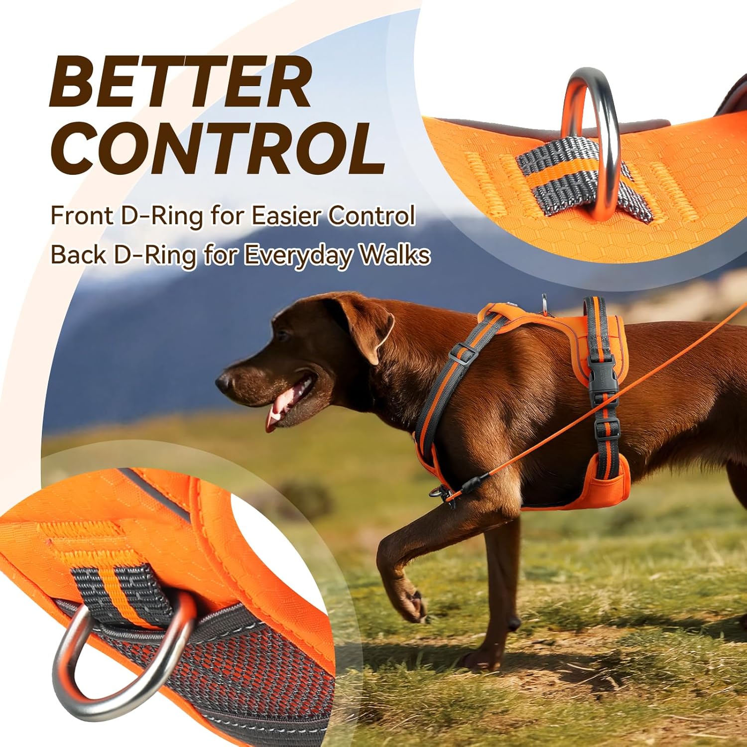 Thumbnail 1 de VIVAGLORY Easewalk No Pull Dog Harness with Front & Back Clips – Size S, Orange Patterned