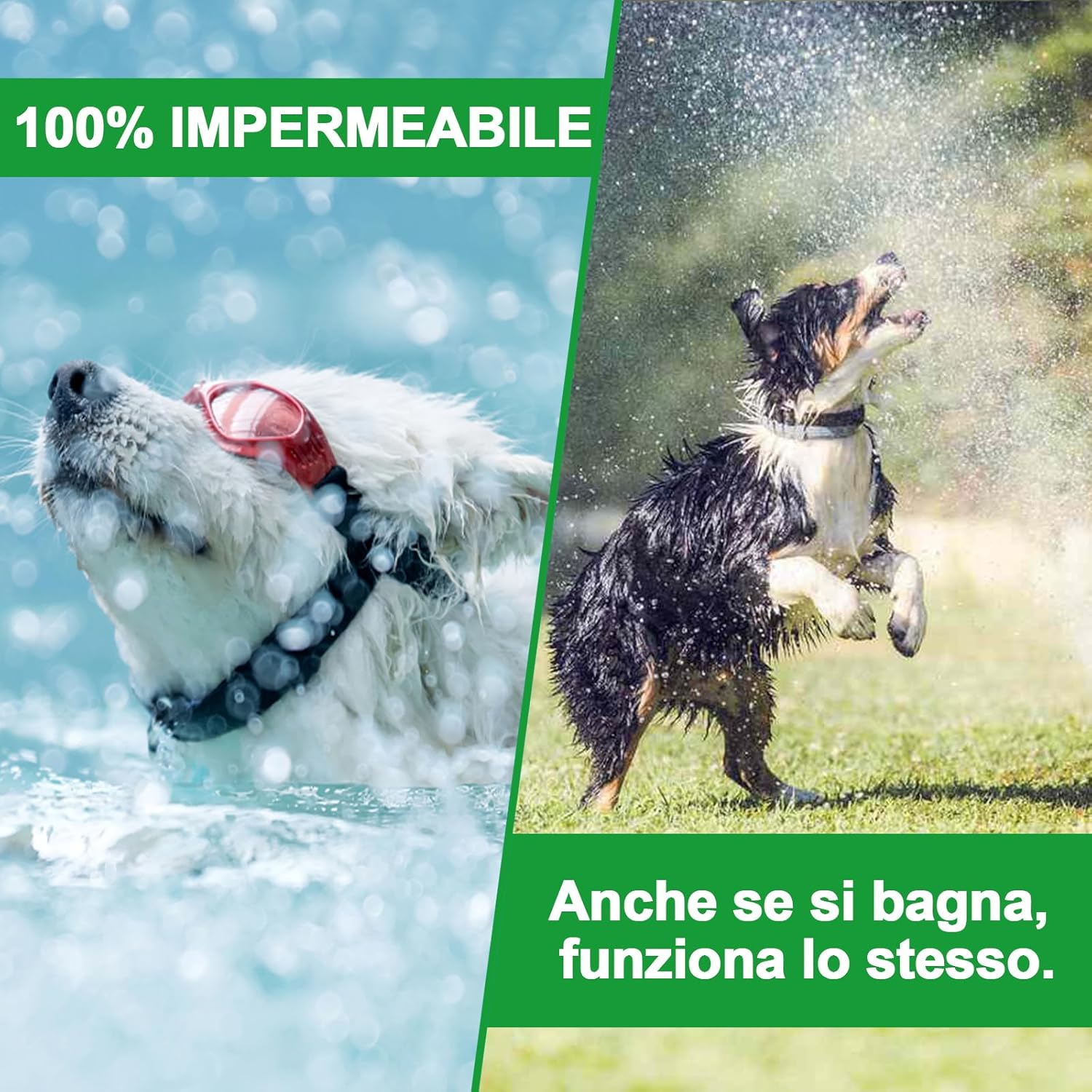 Thumbnail 6 de Collare antiparassitario per Cani 65 cm – protezione naturale 12 mesi, impermeabile e regolabile