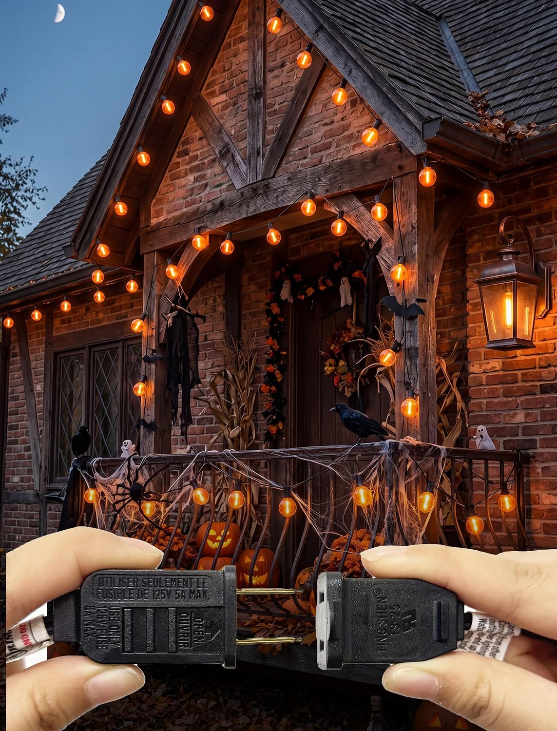 Detalle de Halloween String Lights 25 ft