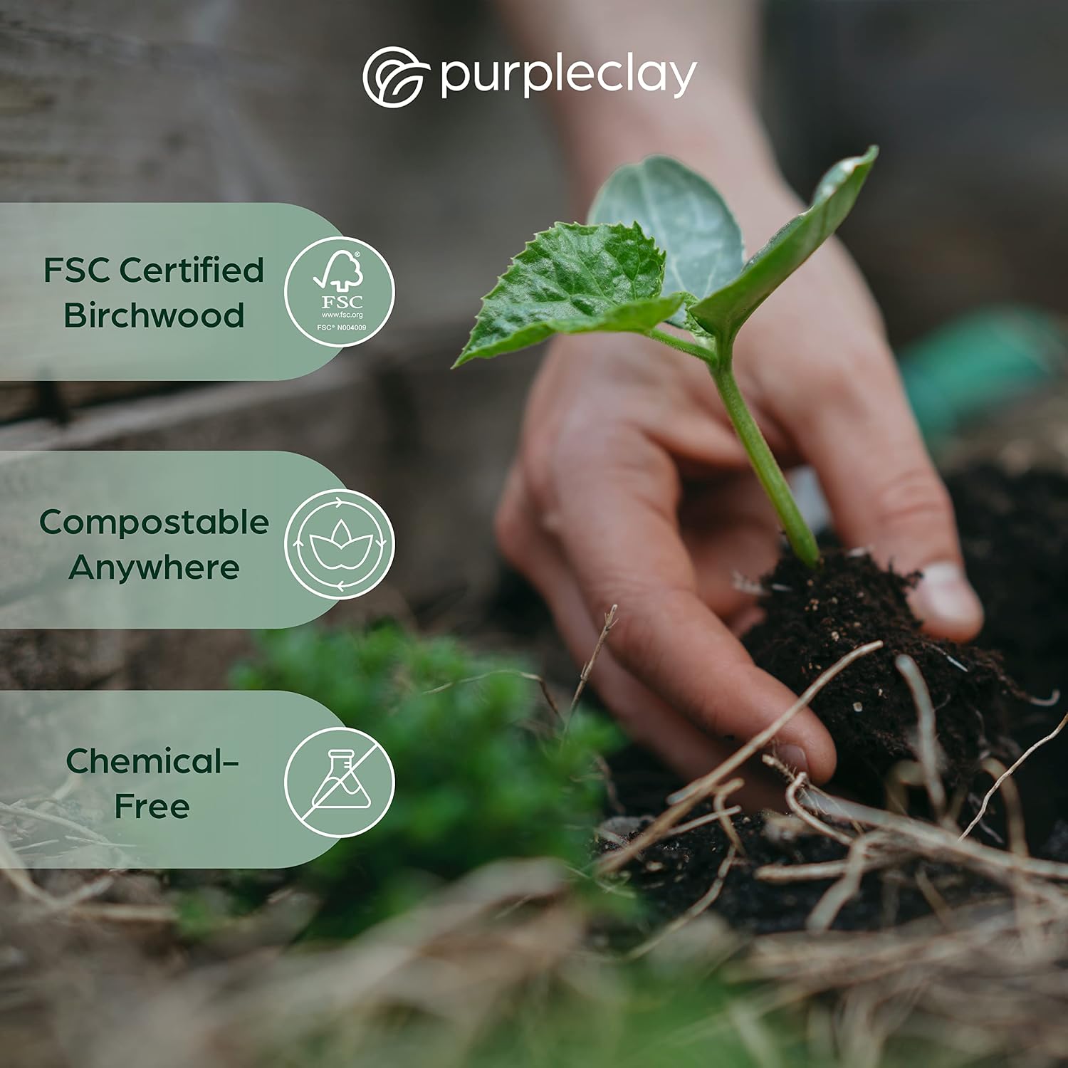 Thumbnail 4 de PURPLECLAY Wooden Disposable Forks (300 PCS) — FSC Certified Birchwood, Compostable & Eco-Friendly