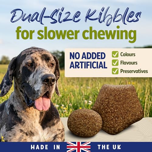 Detalle 2 de BETA Adult Large Breed Turkey Dry Dog Food 14kg