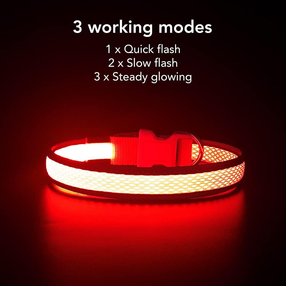 Detalle 2 de YFbrite Light up Dog Collar 8h battery