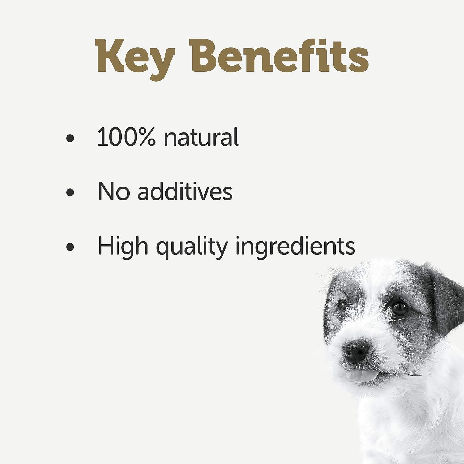Detalle 2 de Applaws 100% Natural Wet Puppy Food Can: Petto di pollo con riso in brodo per cuccioli (156 g, confezione da 8)