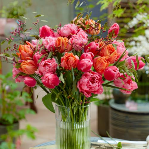 Thumbnail 2 de DUTCH BULBS EXCLUSIVE PLANTS FROM HOLLAND Bulbos de tulipán Super Collection 50 piezas 🌱