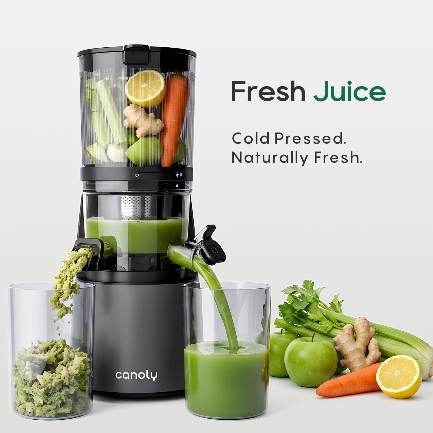Thumbnail 5 de Canoly C16 Cold Press Juicer 6" Feed