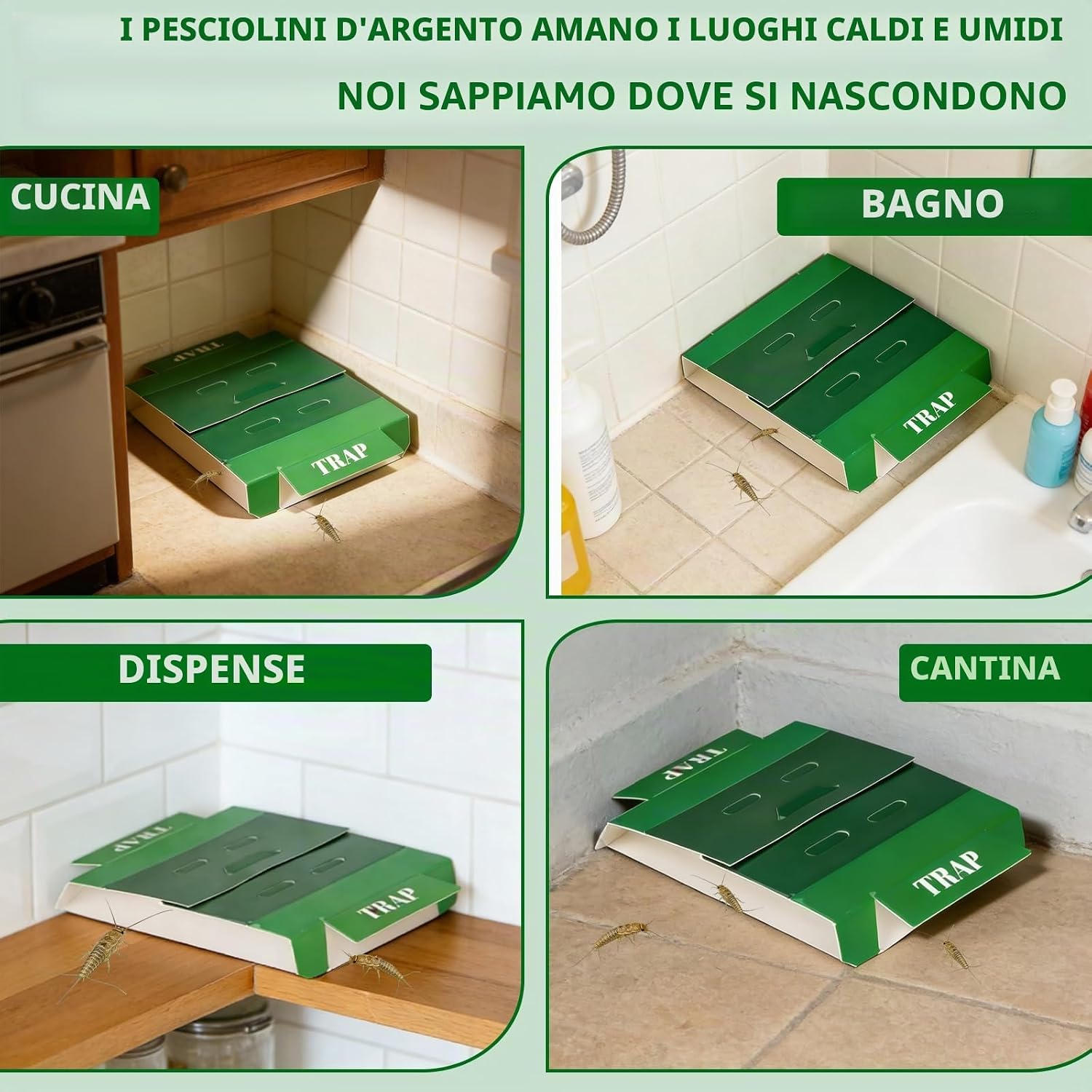 Thumbnail 5 de Pesciolini d'argento Trappole Scarafaggi - 10 Trappole adesive efficaci e sicure per casa