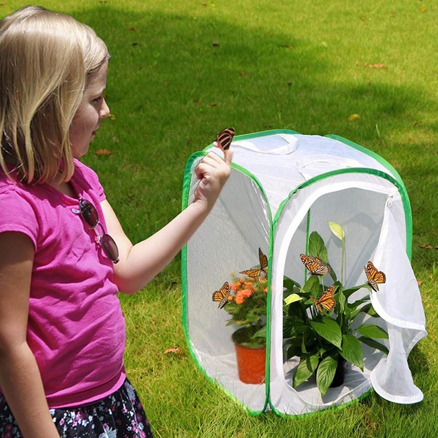 Thumbnail 6 de Butterfly and Insect Habitat Cage by Ompinda: Collapsible, Transparent Pop-up Enclosure for Caterpillars and Flying Insects