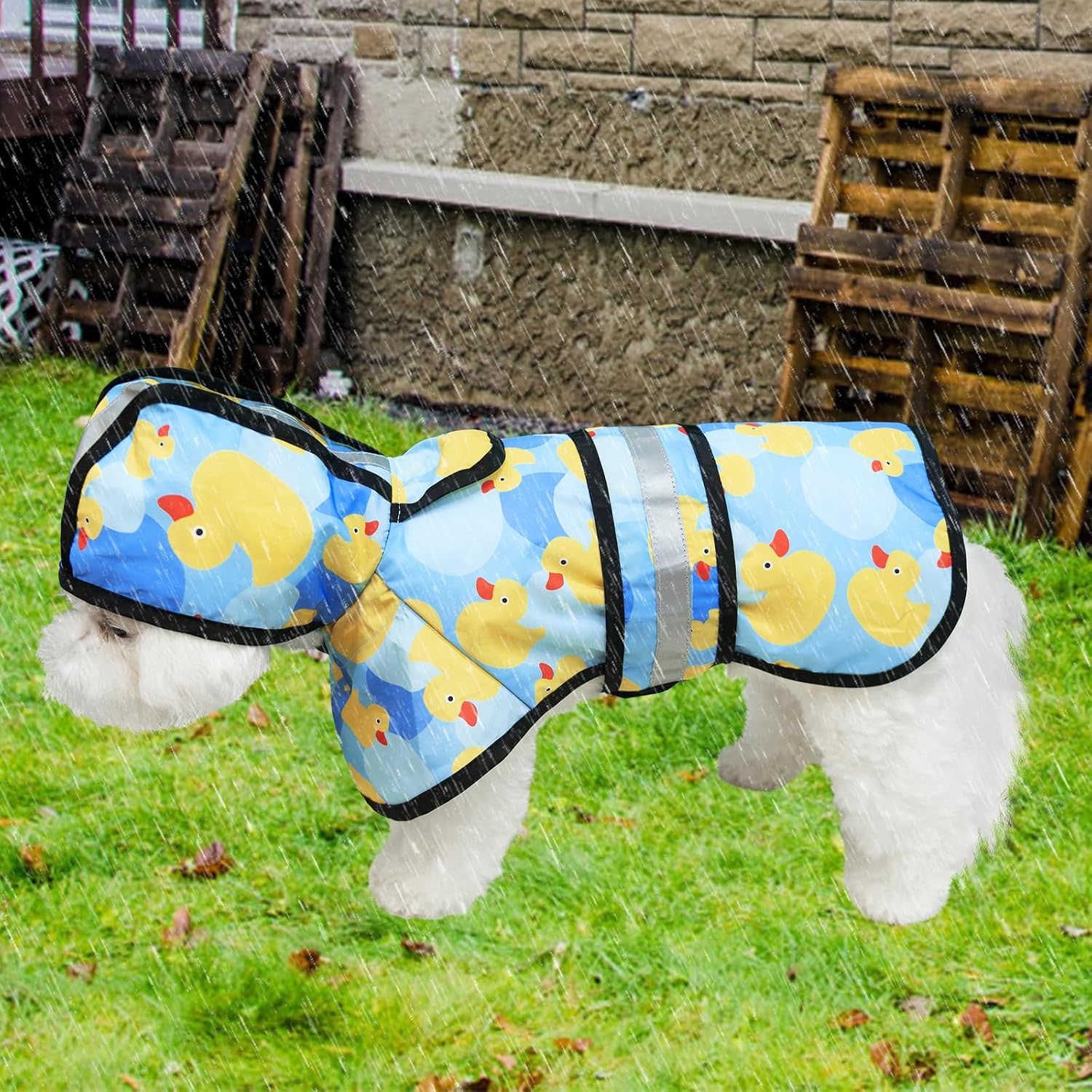 Thumbnail 5 de KOOLTAIL Hunde-Regenmantel 32 cm Rückenlänge