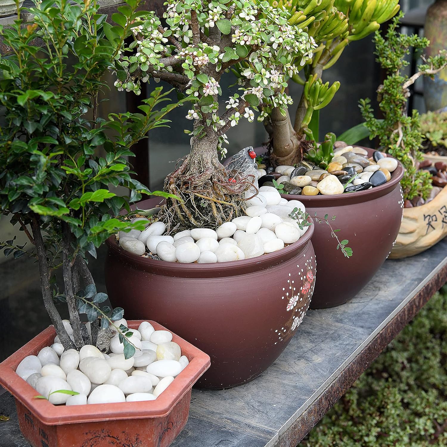 Thumbnail 6 de Hisredsun 3.96 lb White Decorative Stones for Plants 🪨