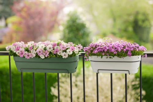 Thumbnail 7 de Elho Vibia Campana Trough 50 jardinera balcón Ø 49 cm verde pistache