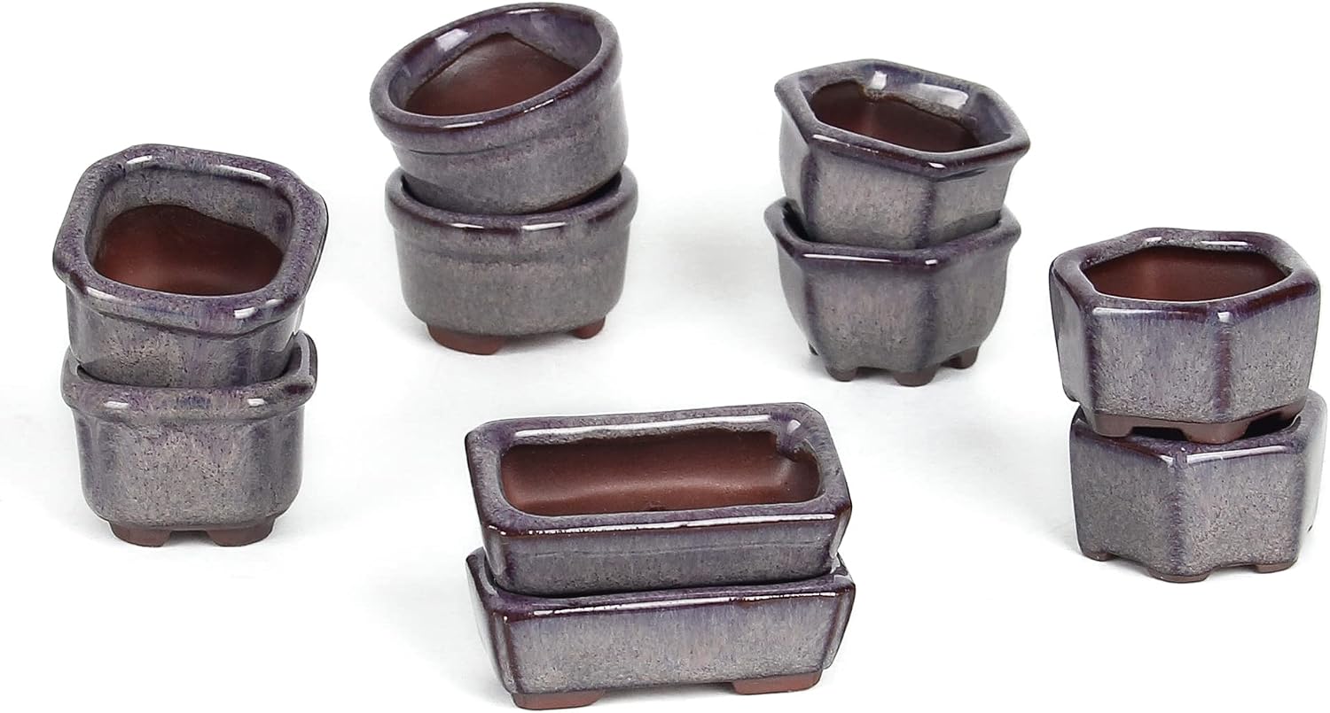 Thumbnail 1 de Happy Bonsai 10 Mini Glazed Pots 4.5cm