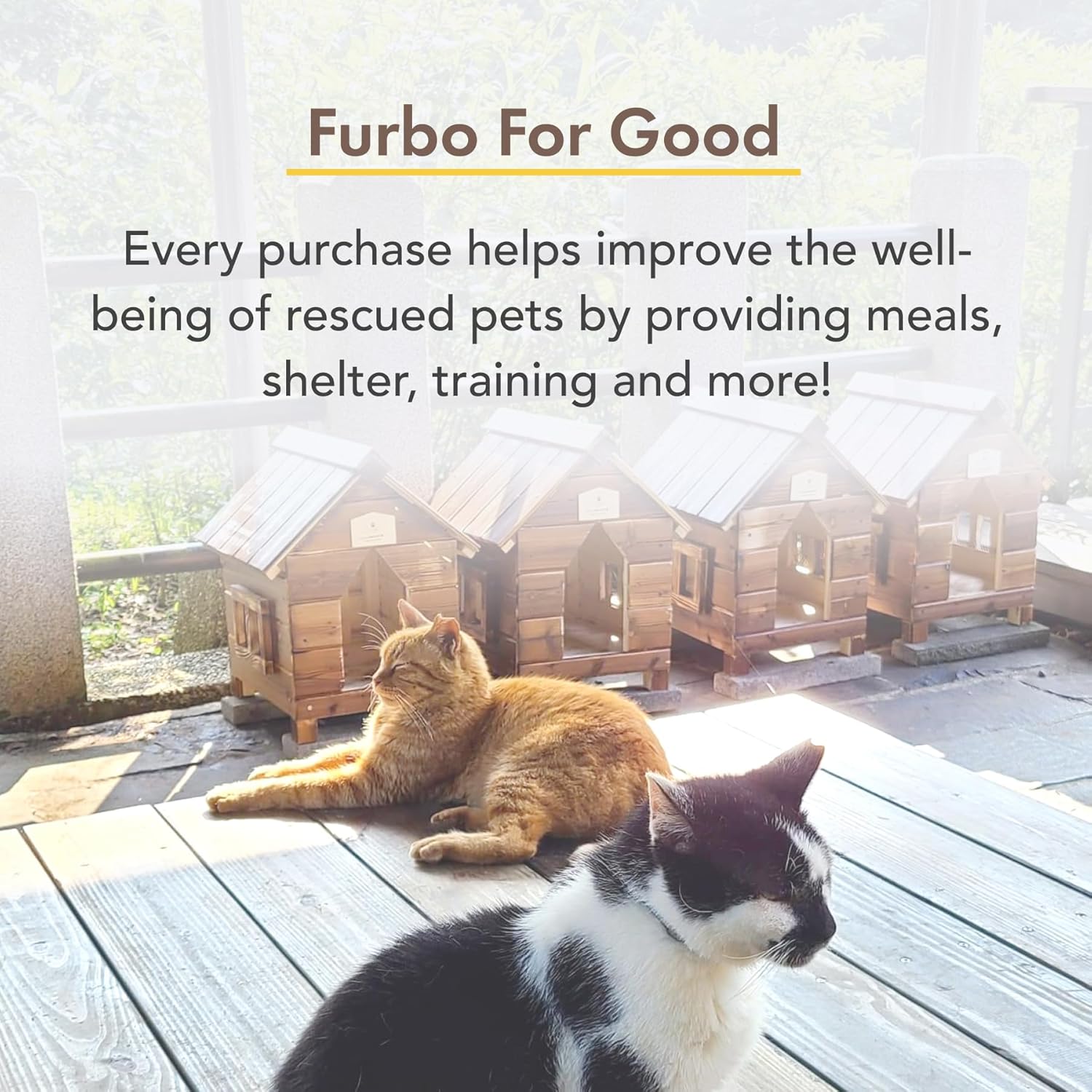 Thumbnail 6 de Furbo 360° Cat Camera with App (No Subscription Required) — Smart pet monitor, auto-tracking & treat dispenser