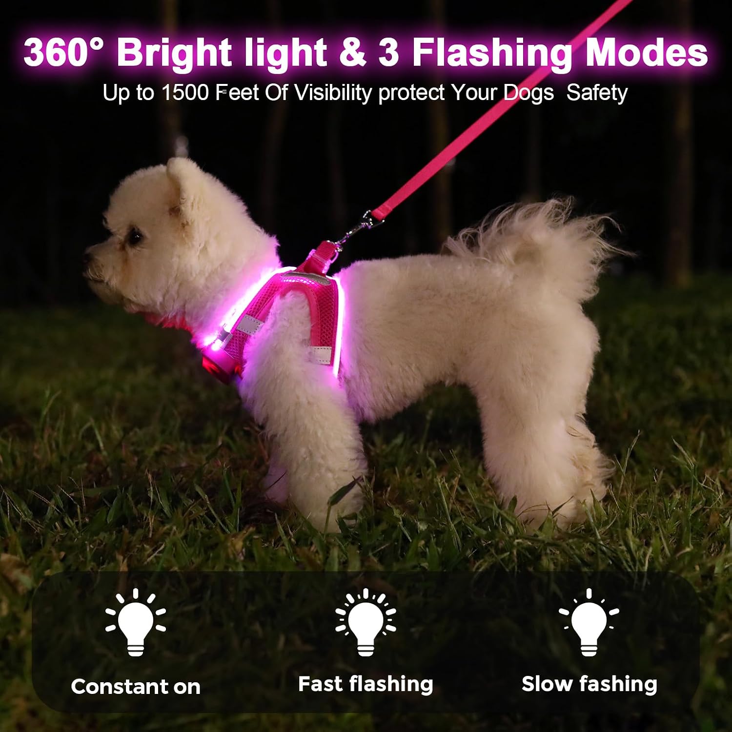 Thumbnail 3 de Feycig Leuchtendes Hundegeschirr LED Medium