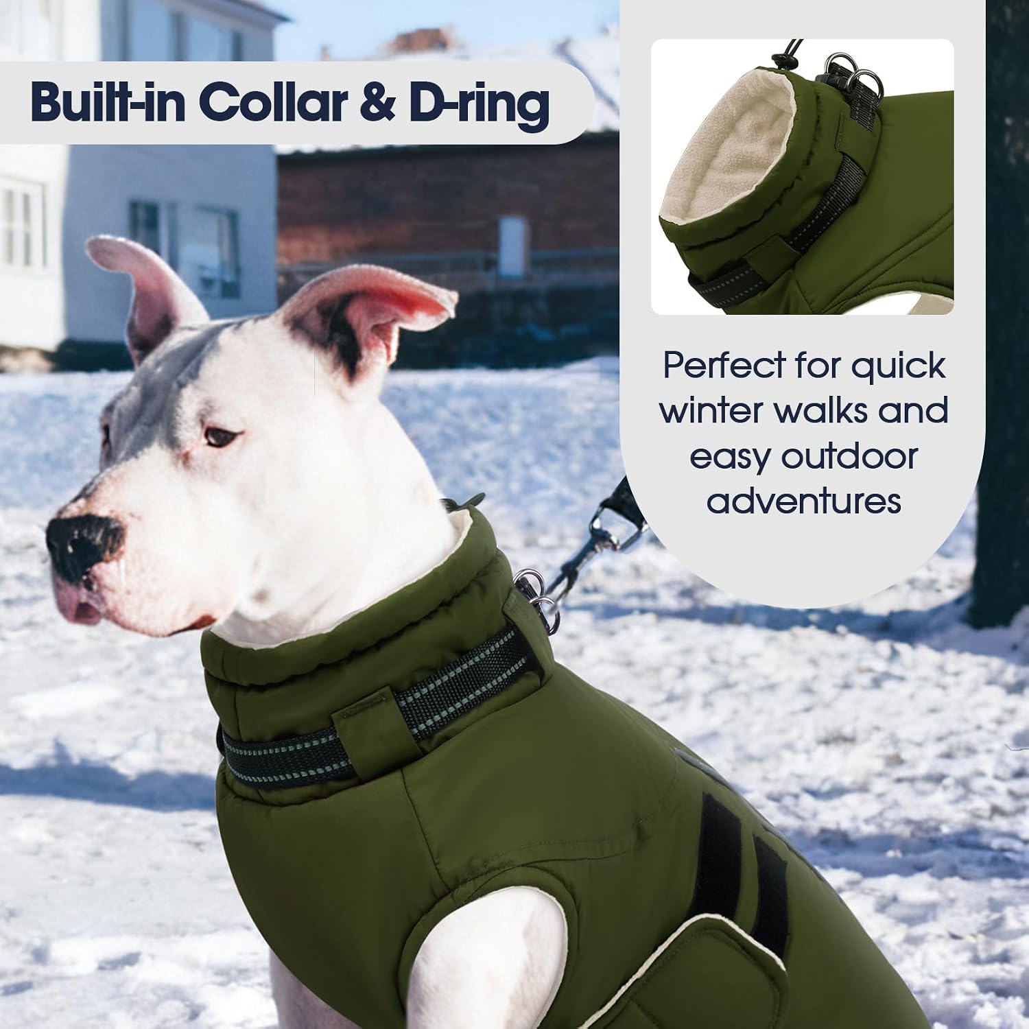 Detalle 2 de IECOii Dog Coat, Size L