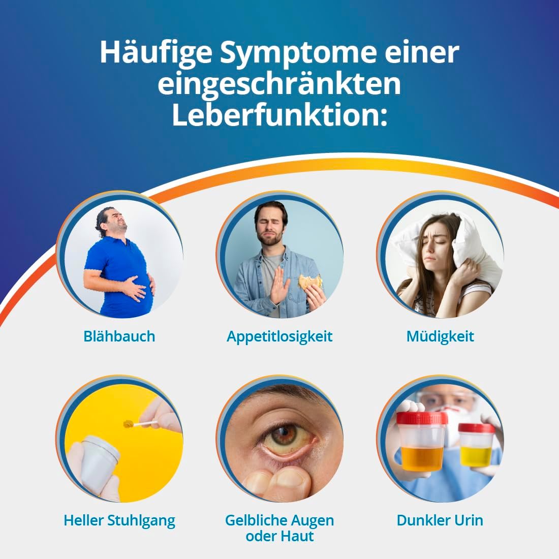 Thumbnail 4 de ADESTE Lebertest – Leberwerte Selbsttest, 1 Test