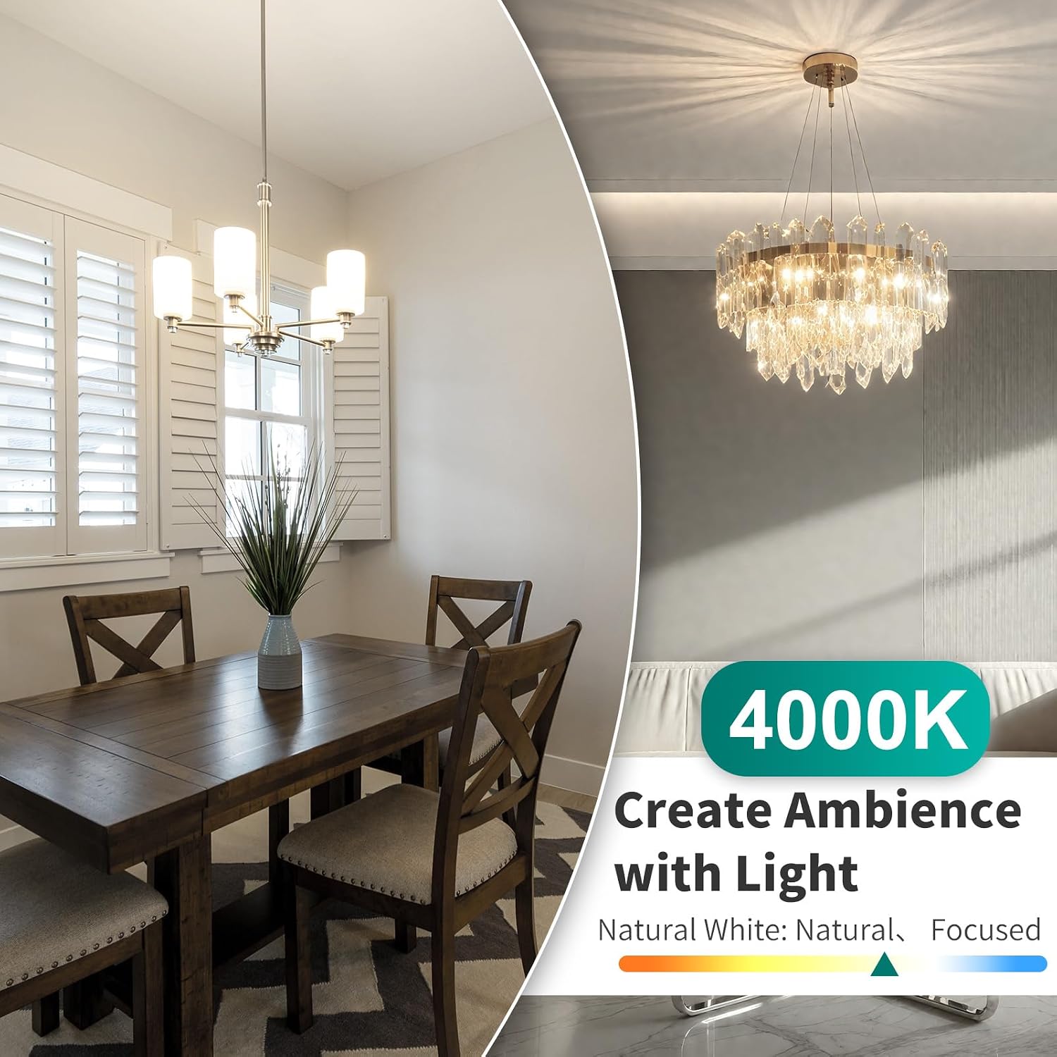 Thumbnail 5 de DiCUNO G9 LED Bulbs, 4W, 4000K Natural White, 400 Lumens, 10-Pack