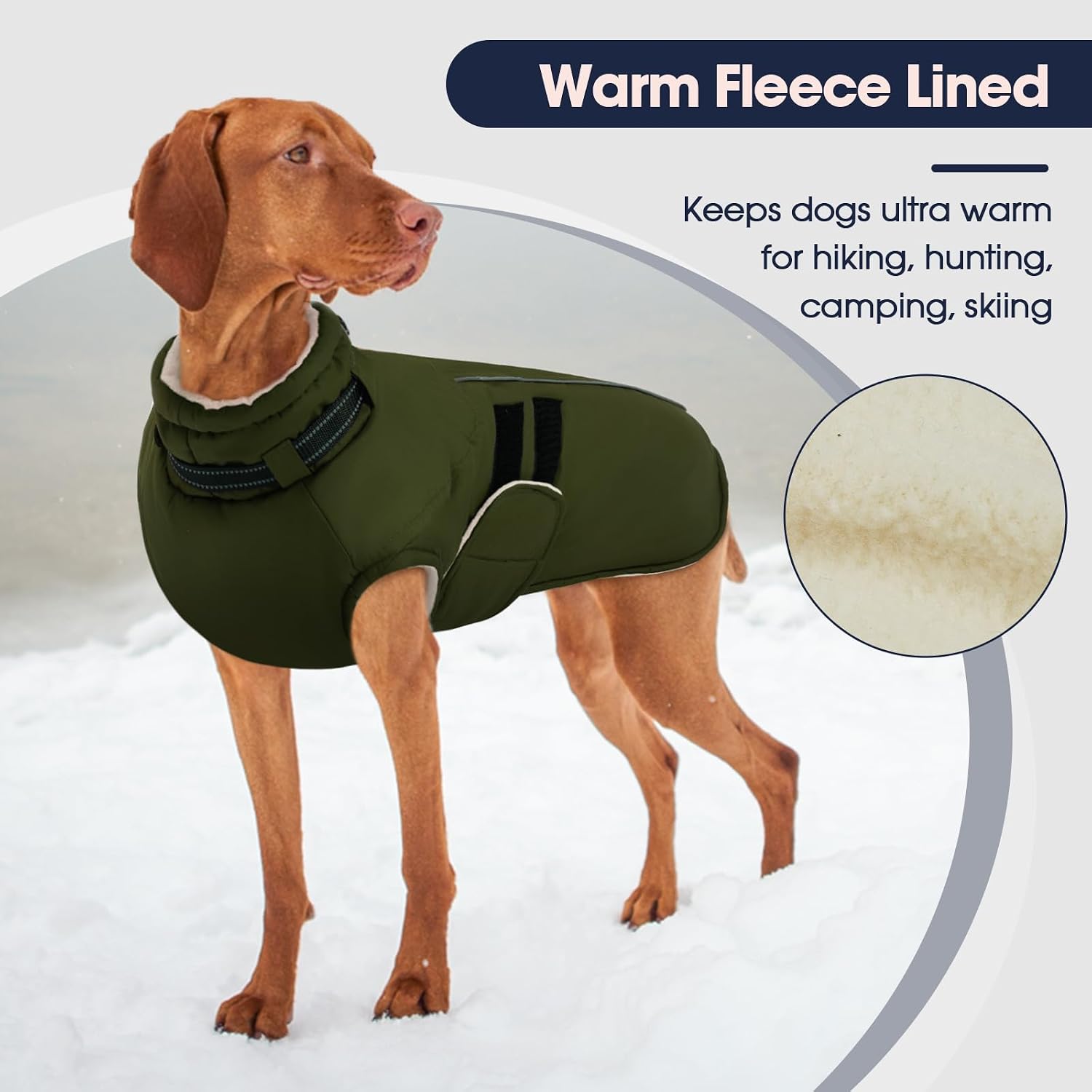 Detalle 2 de IECOii Dog Coat, Size L