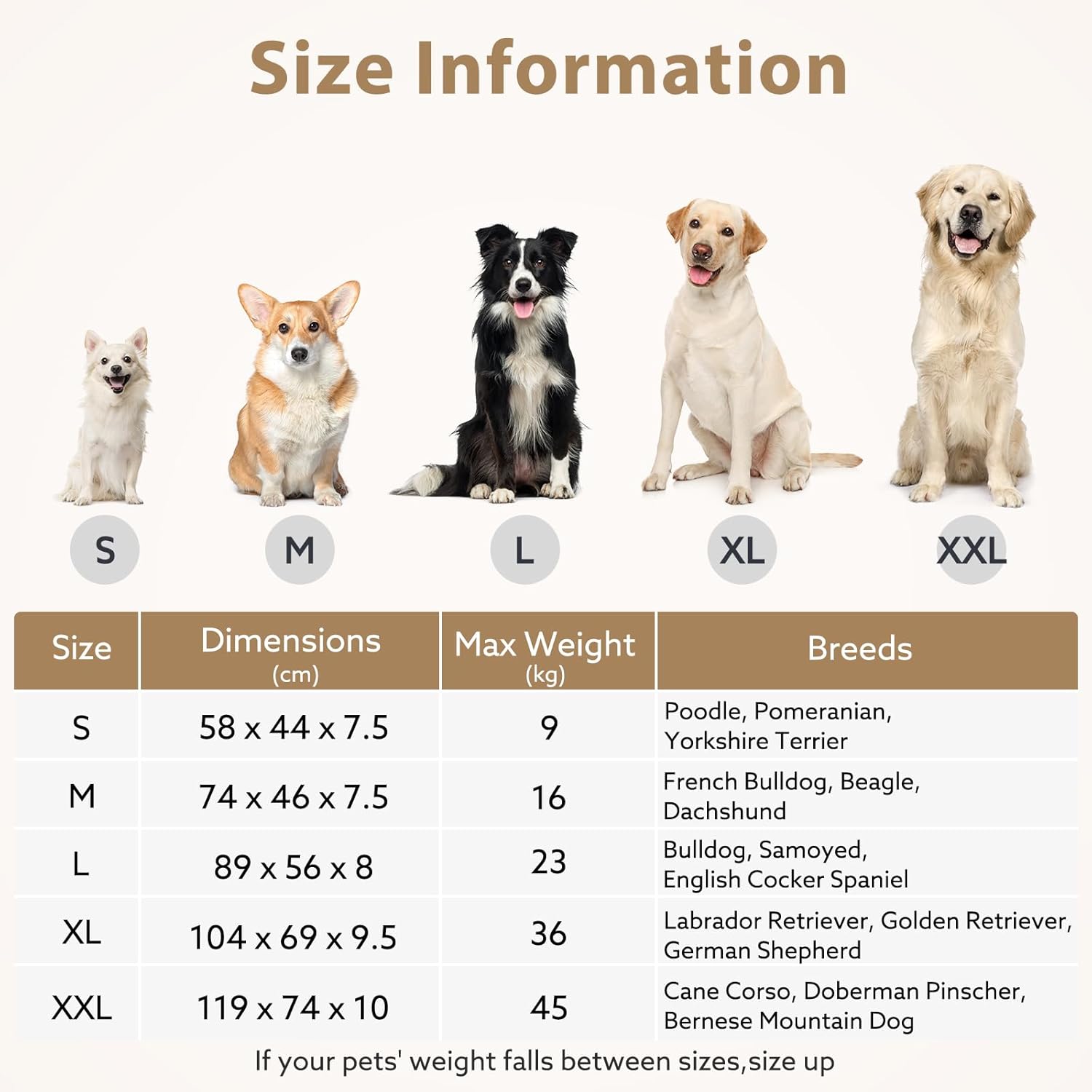 Thumbnail 5 de JOEJOY Orthopedic Dog Bed (Medium) – Washable, Egg-Crate Memory Foam 74×46×7.5cm