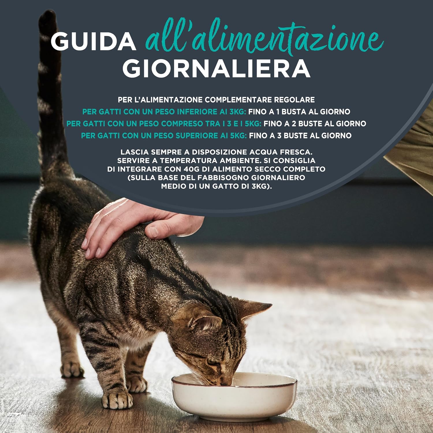 Detalle de Encore Alimento Umido per Gatti 100% Naturale – Pollo assortito in brodo, confezione da 20 buste