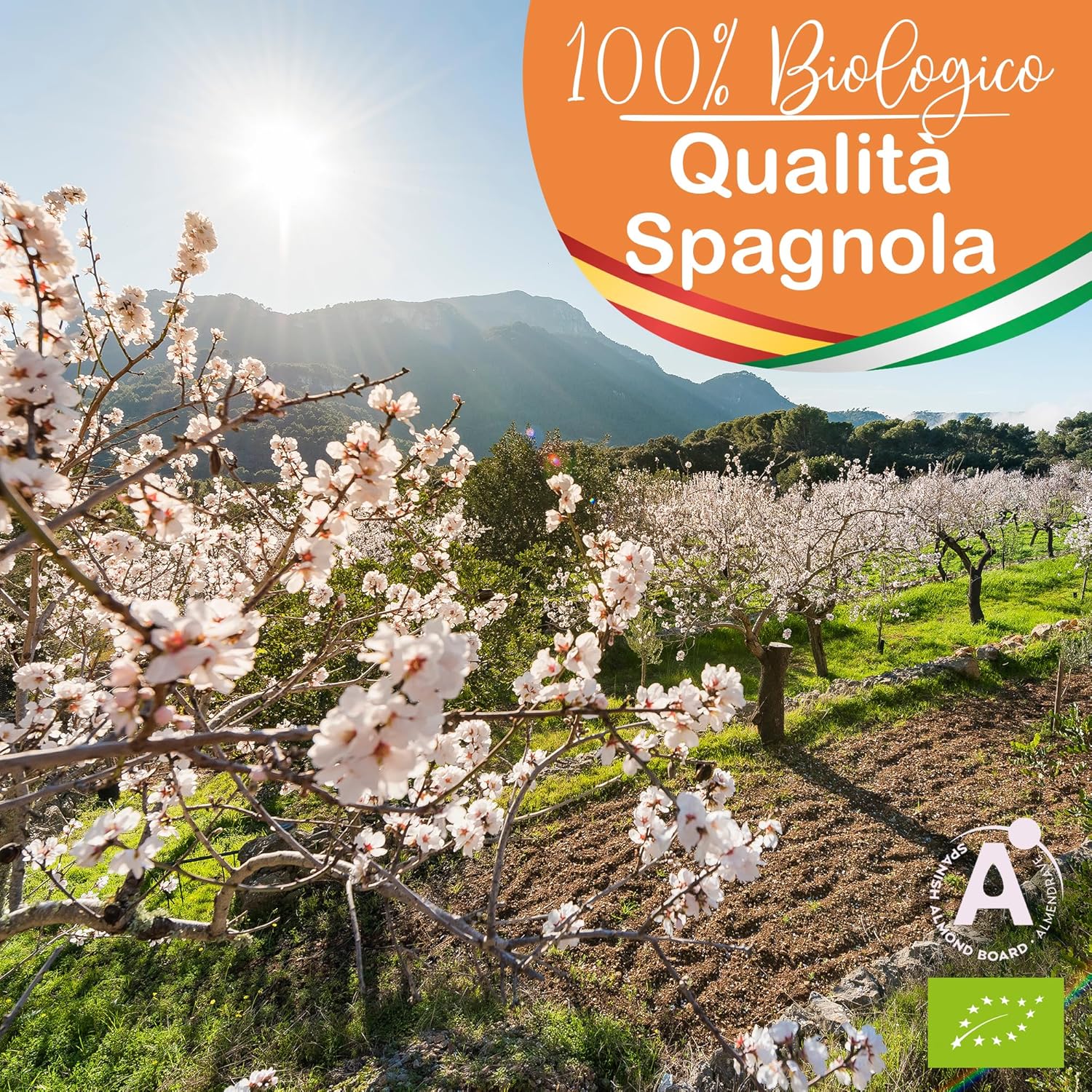 Detalle de Olio di Mandorle Biologico 1000 ml