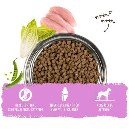 Detalle de bosch HPC Mini Senior – Trockenfutter für ältere kleine Hunderassen (bis 15 kg), 2,5 kg