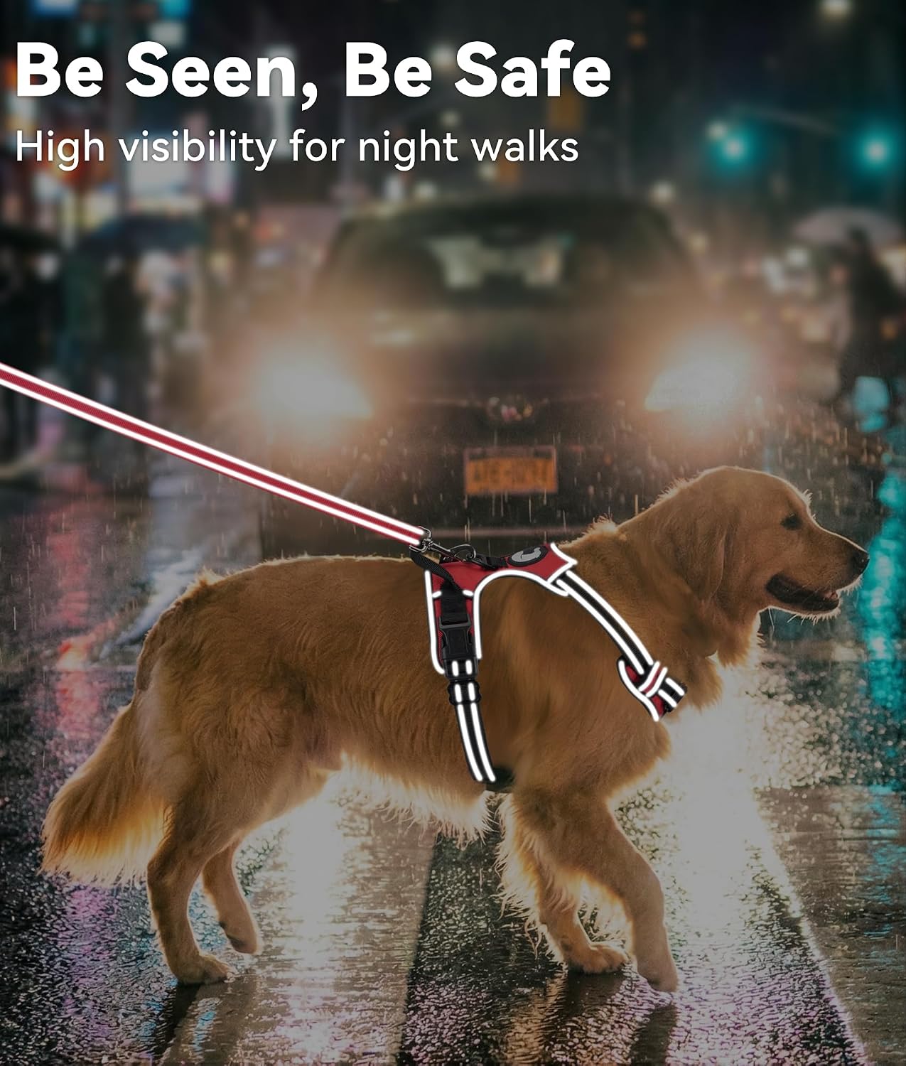 Thumbnail 5 de Joytale Harnais Chien XL anti-traction 50–101,5 cm