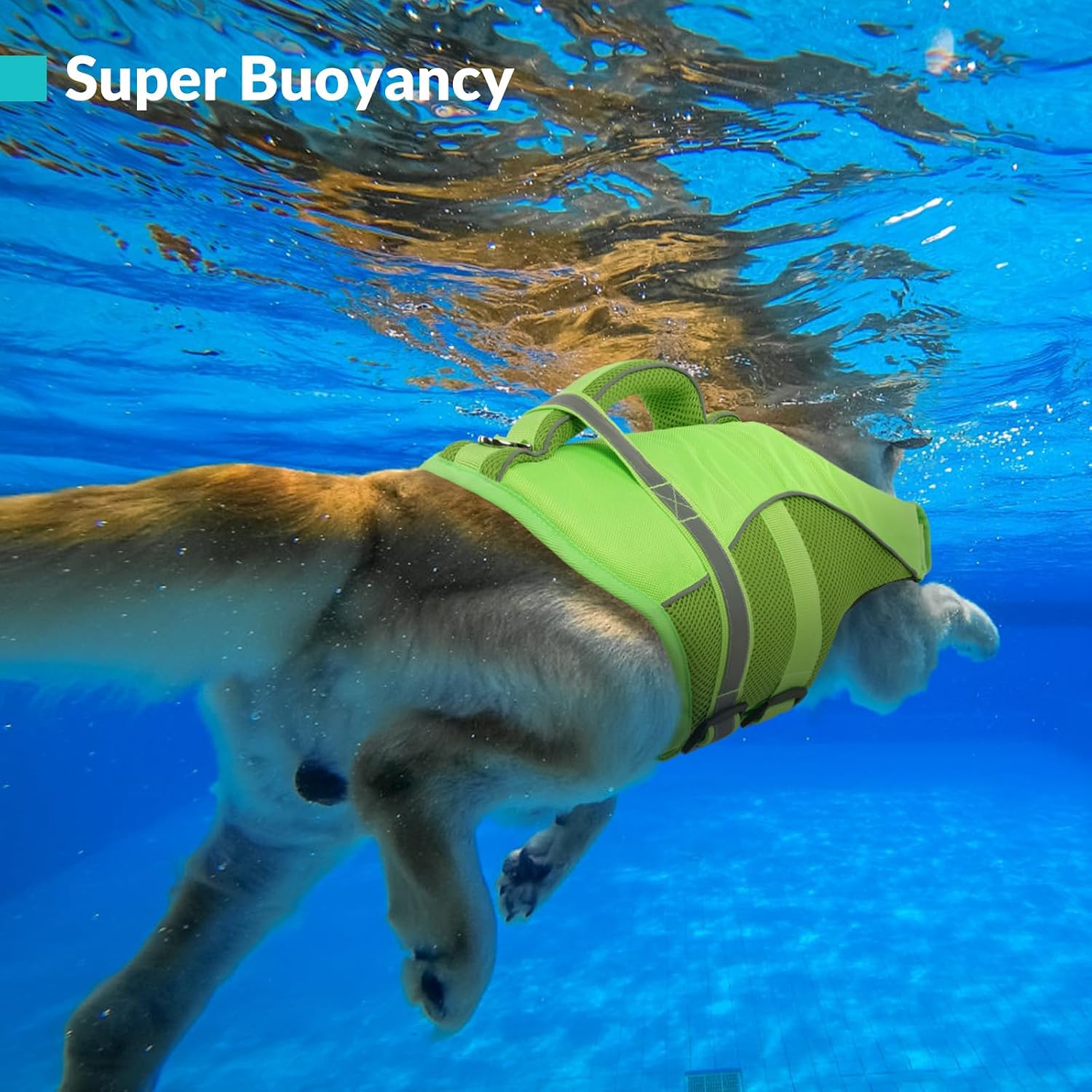 Detalle de Queenmore Dog Life Jacket XXL