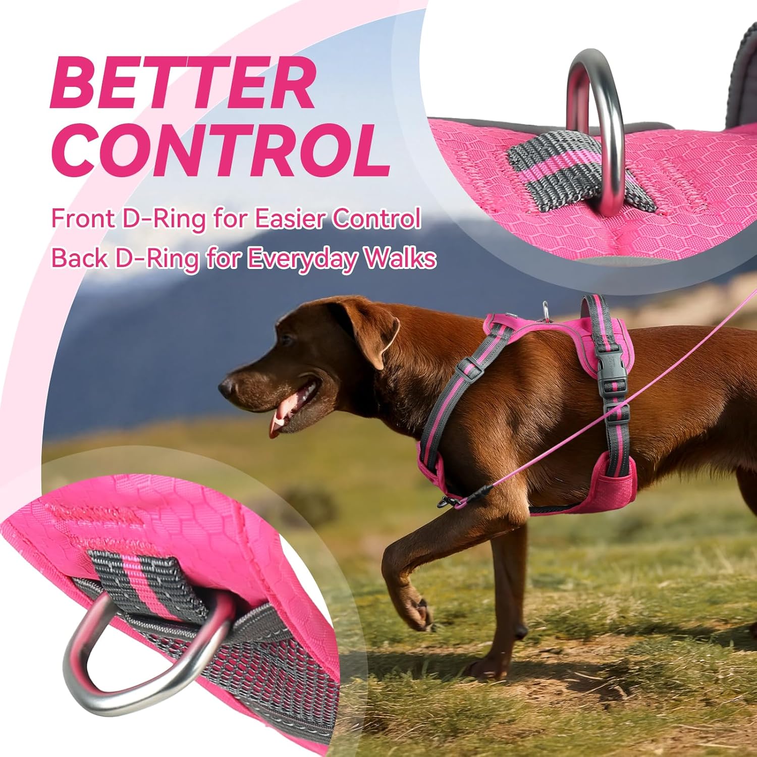 Detalle de VIVAGLORY Easewalk No Pull Dog Harness with Front & Back Clips (XS, Pink – Patterned)