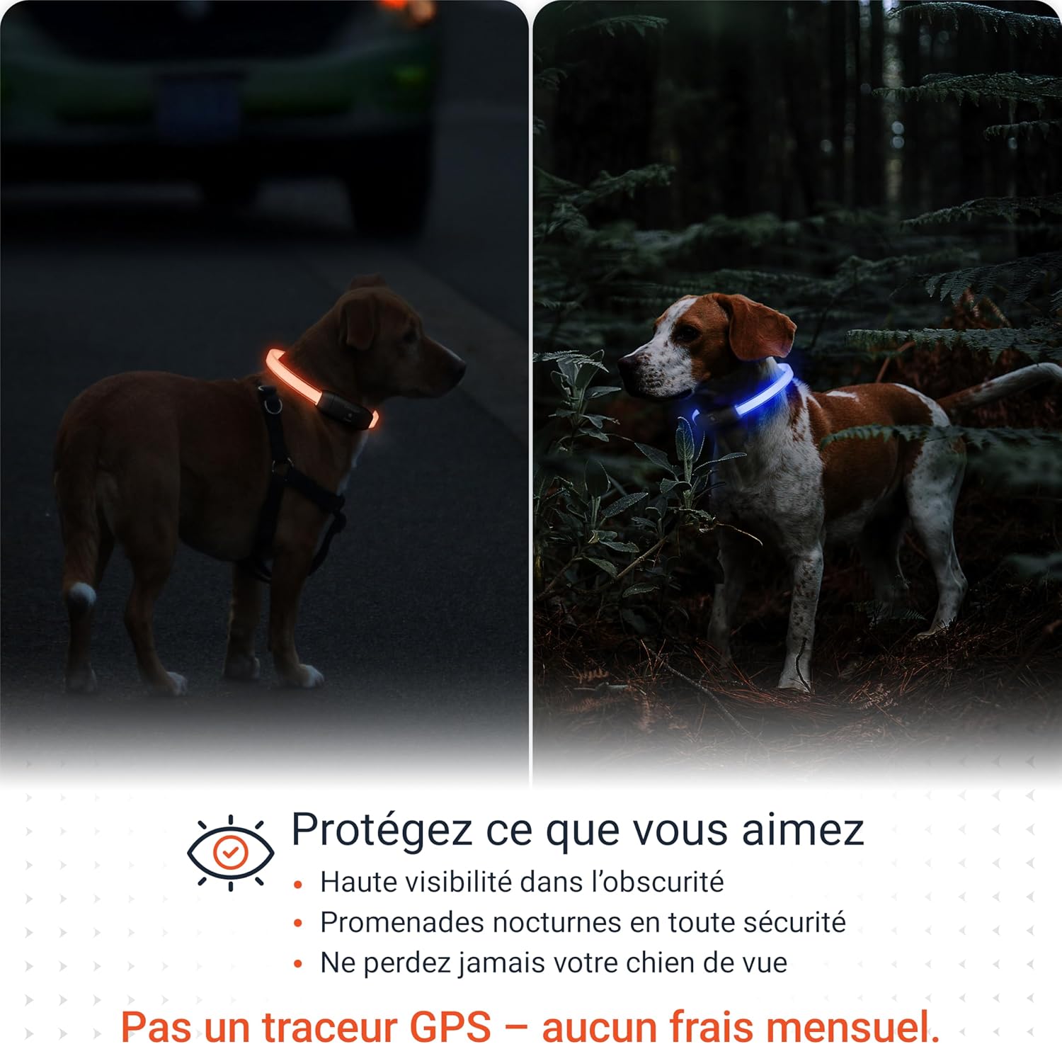 Thumbnail 1 de PAJ Light Collier lumineux pour chien 20–70 cm