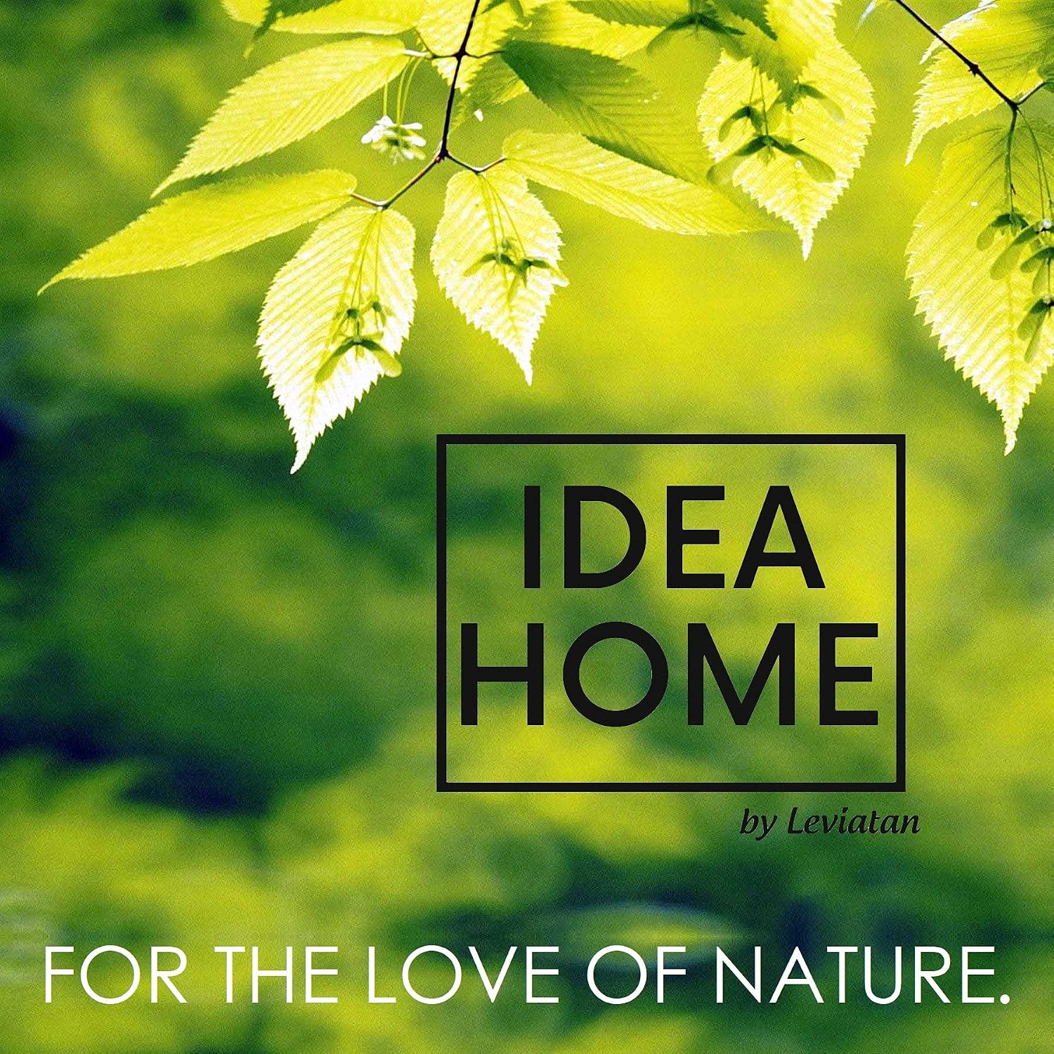 Thumbnail 6 de IDEA HOME – domek dla jeży z litego drewna, z labiryntem i zdejmowanym dachem