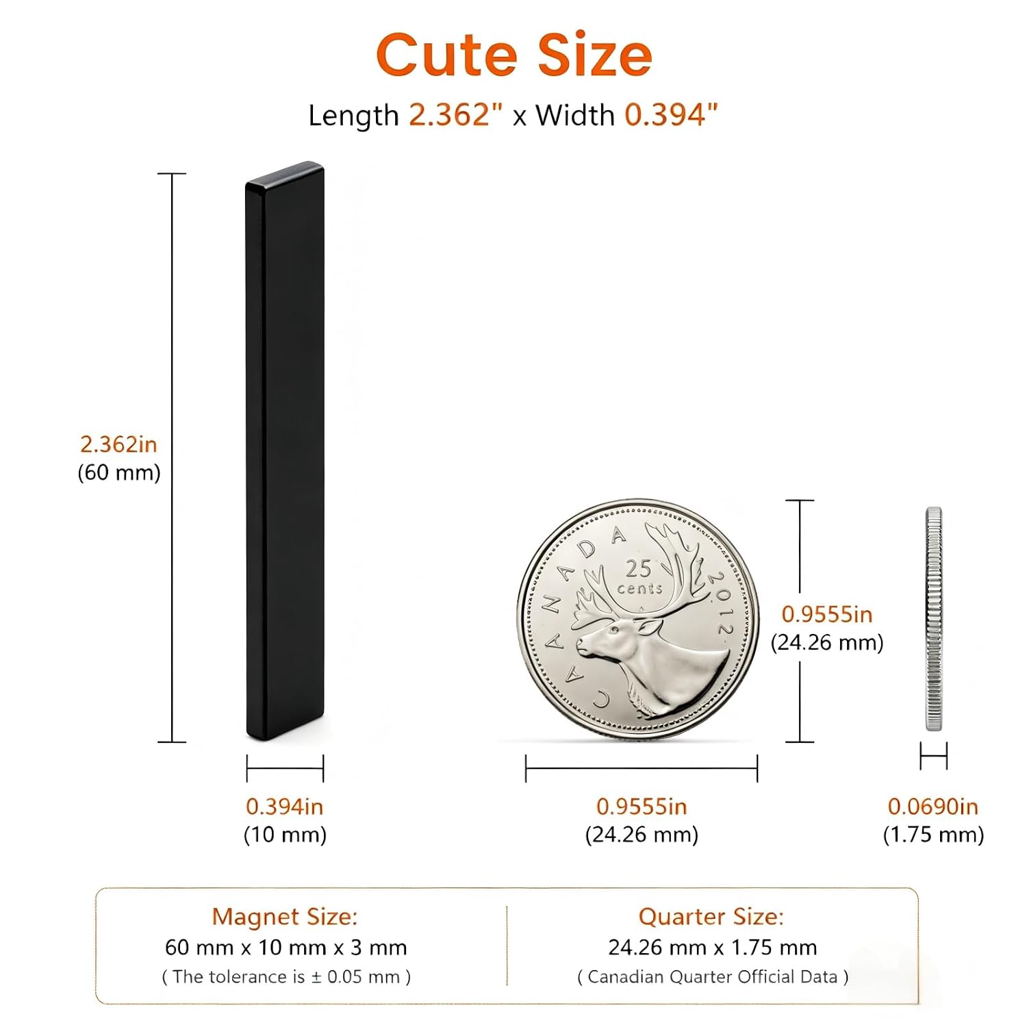 Ant Mag Neodymium Bar Magnets 60 x 10 x 3 mm