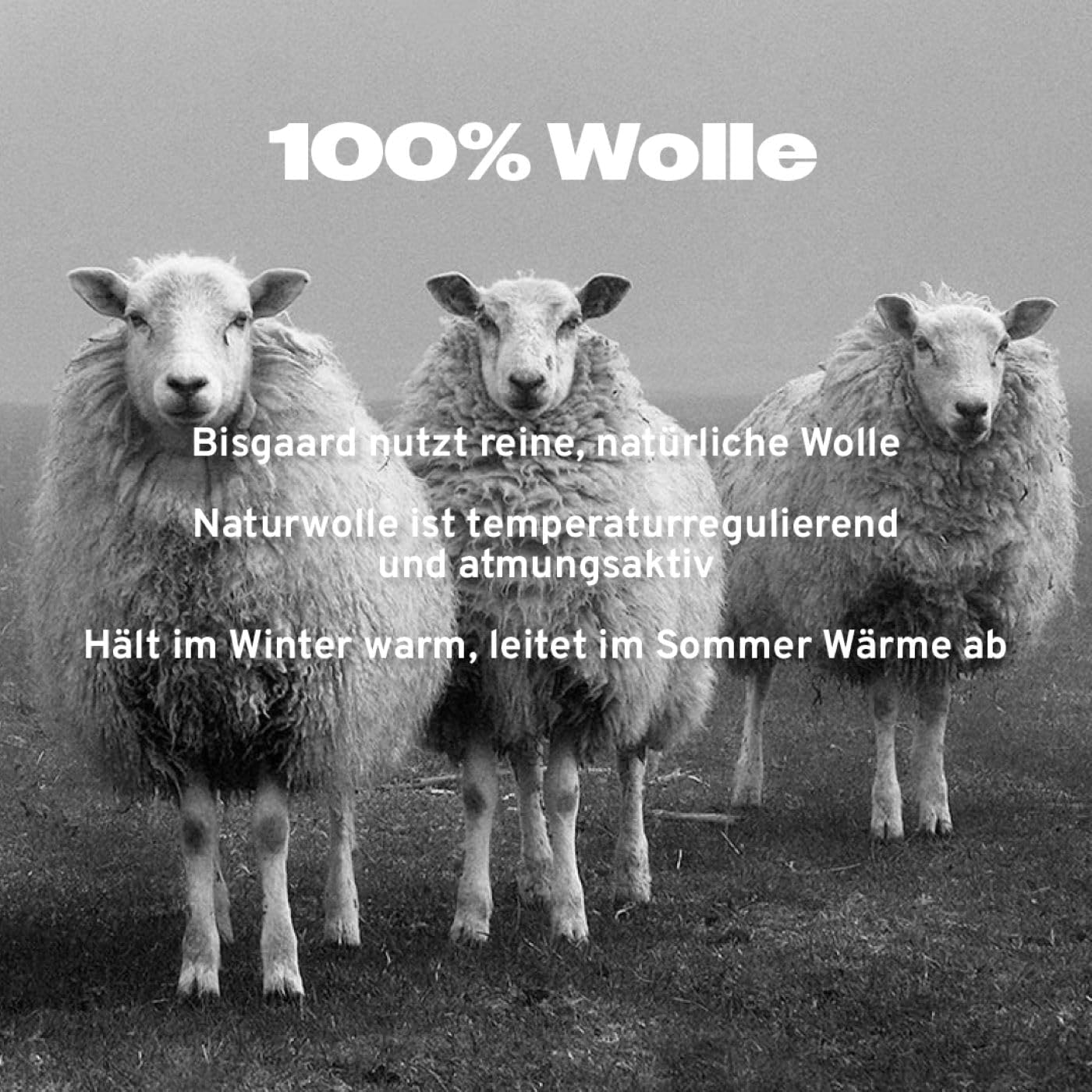 Thumbnail 5 de Bisgaard Baby Wool Hausschuhe mit Klettverschluss – warme Woll-Niedrige Schlappen für Kinder