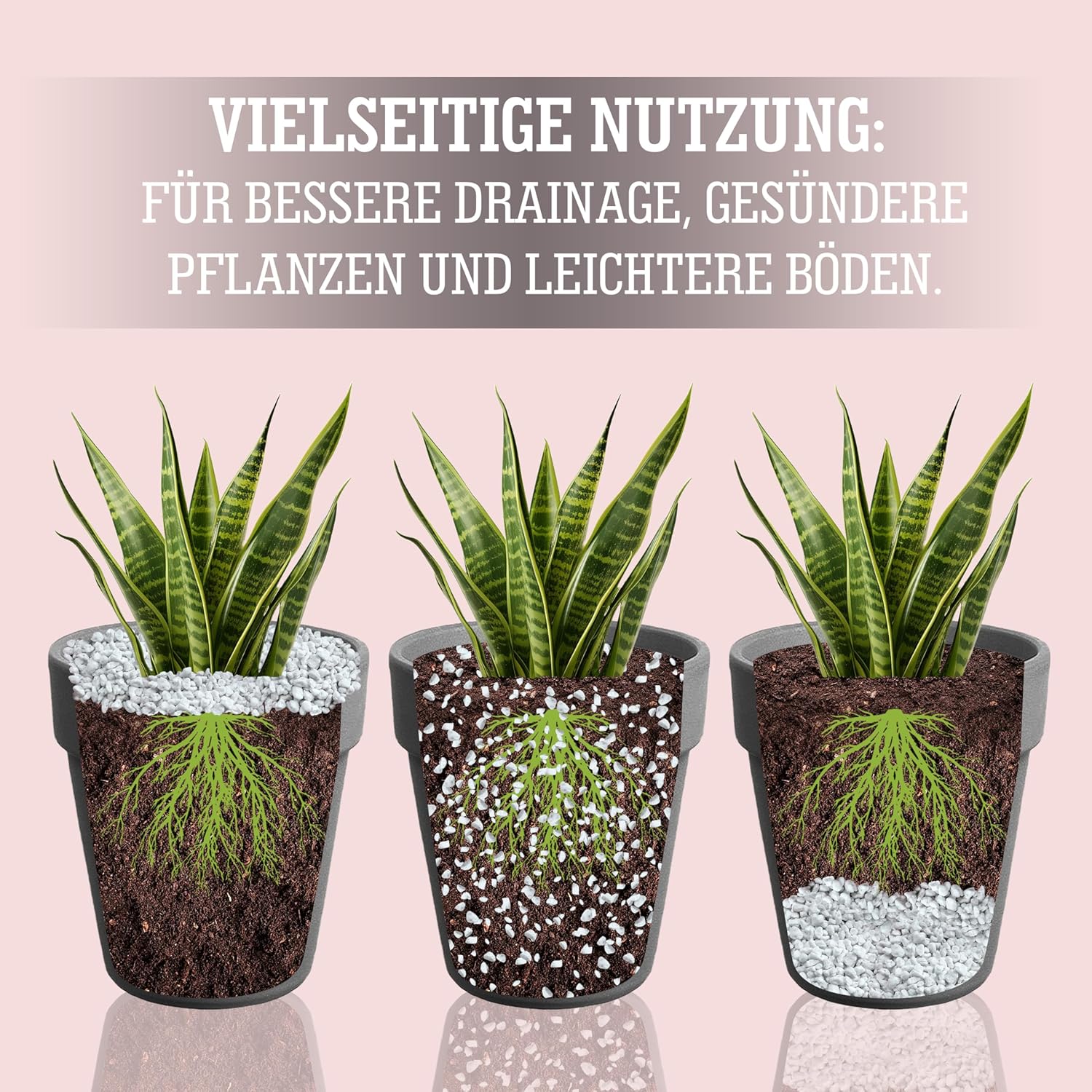 Thumbnail 2 de LERAVA® Perlite für Pflanzen (8L) – Grobkörniger Perlit zur Bodenverbesserung