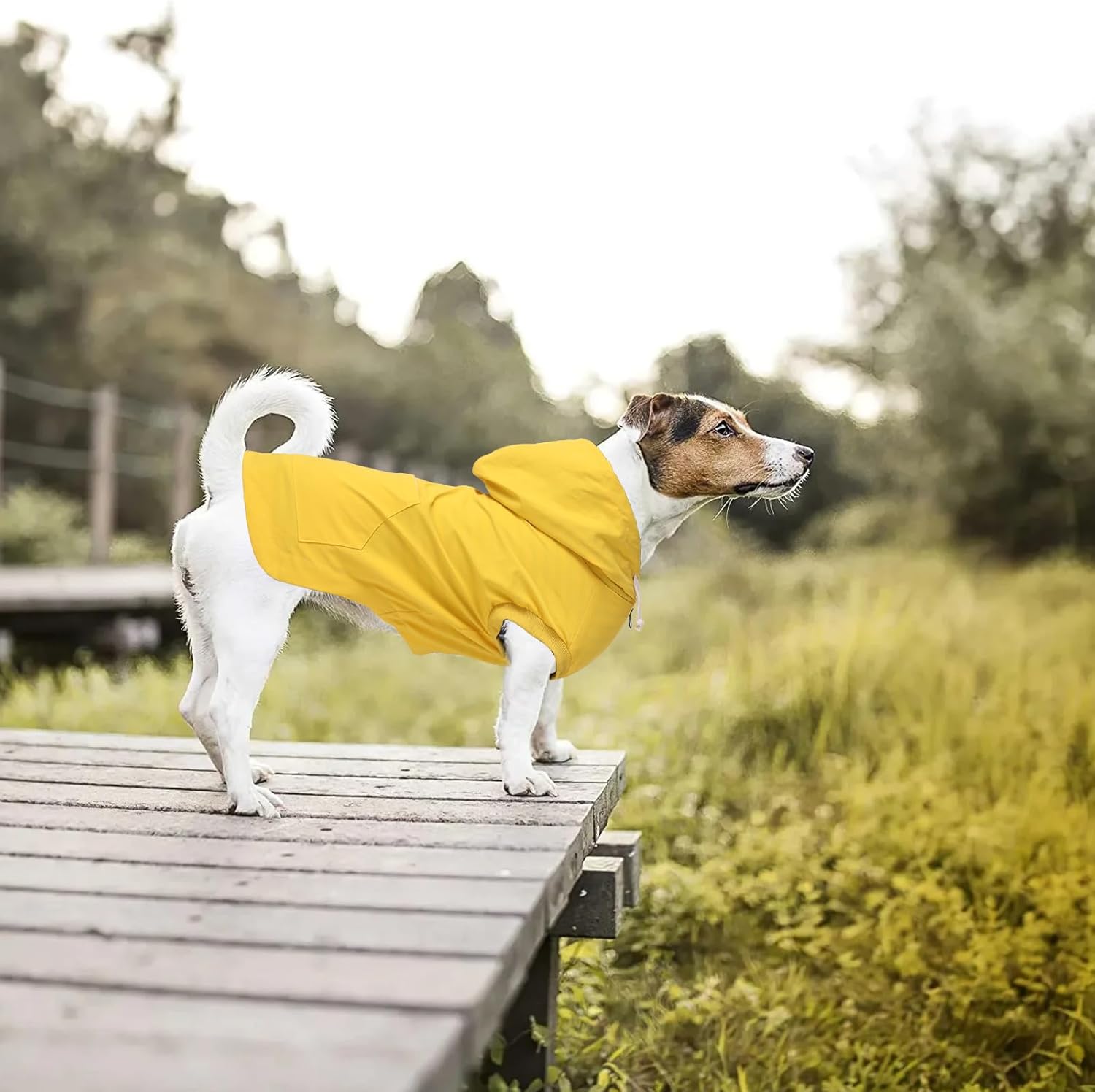 Thumbnail 5 de Dog raincoat waterproof jacket with hood, zipper & back pocket (Yellow) – Size S