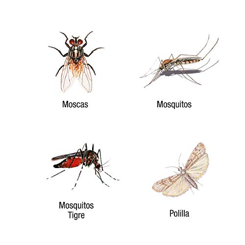 Detalle de Protect Home Insecticida persistente para exteriores: defensa eficaz contra mosquitos en balcones, terrazas y jardines