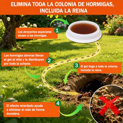 Thumbnail 2 de Jeweeio 60 trampas para hormigas: estaciones de cebo listas para usar para interior y exterior