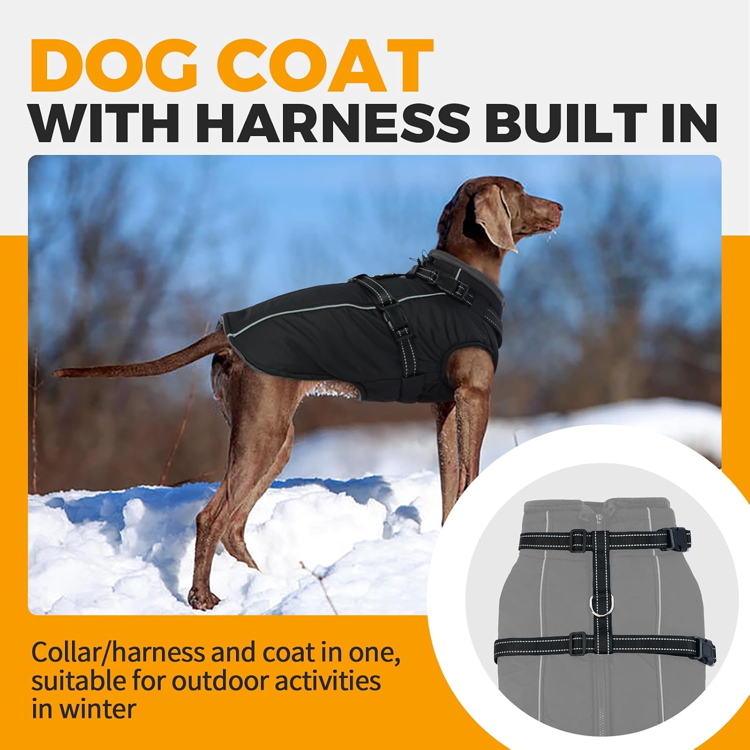 Detalle 2 de Lelepet Dog Coat XXXL