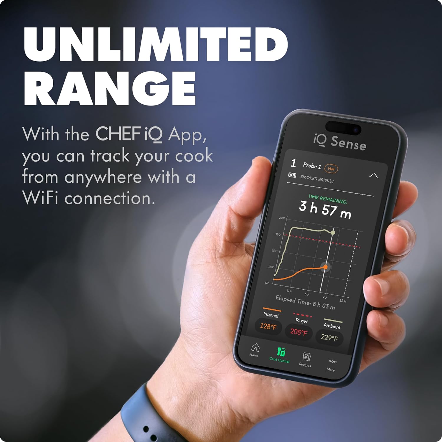 Detalle de CHEF iQ Sense Gen3: Wireless 3-Probe Smart Meat Thermometer